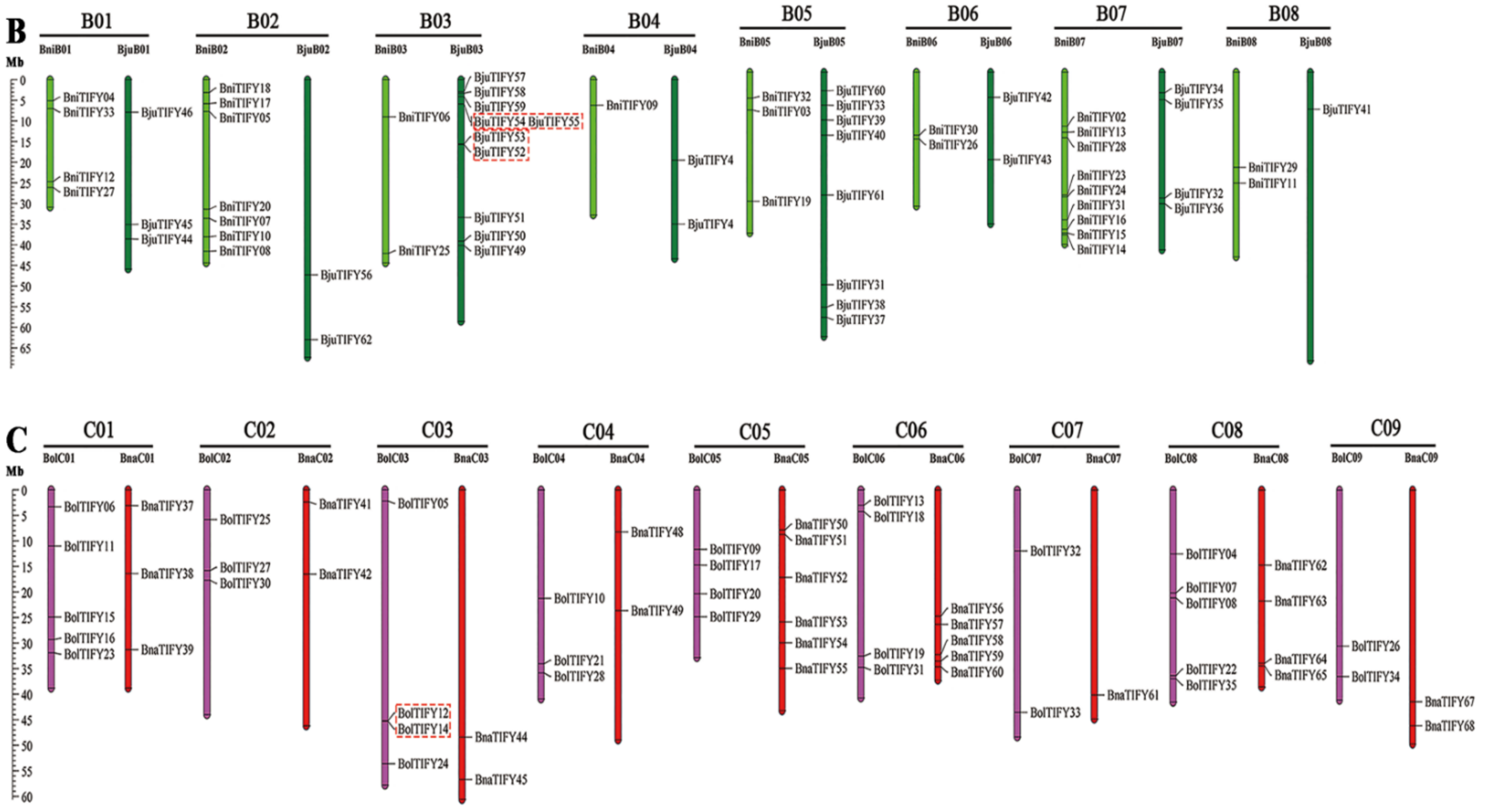 Plants 11 00667 g002b