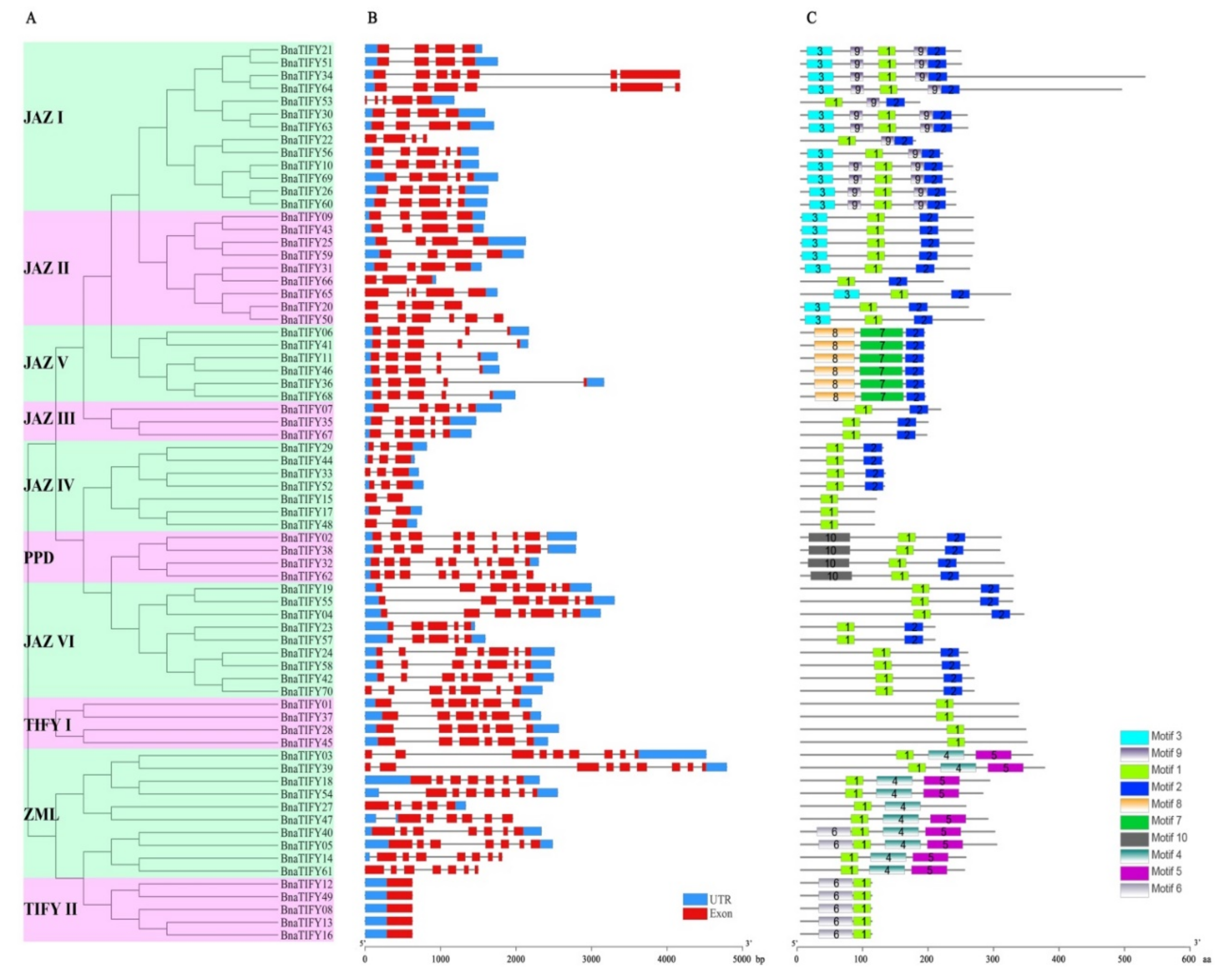 Plants 11 00667 g004
