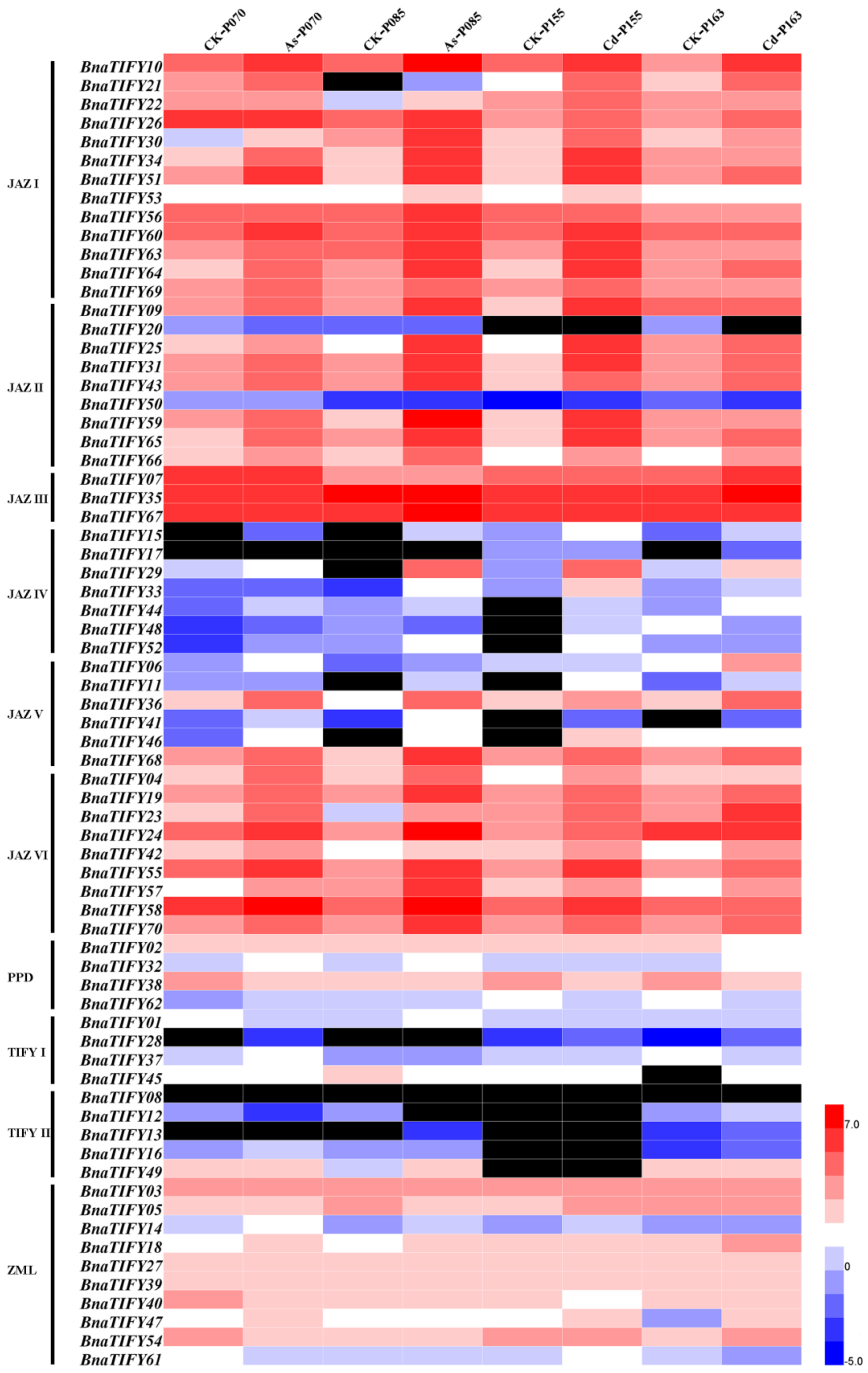 Plants 11 00667 g006