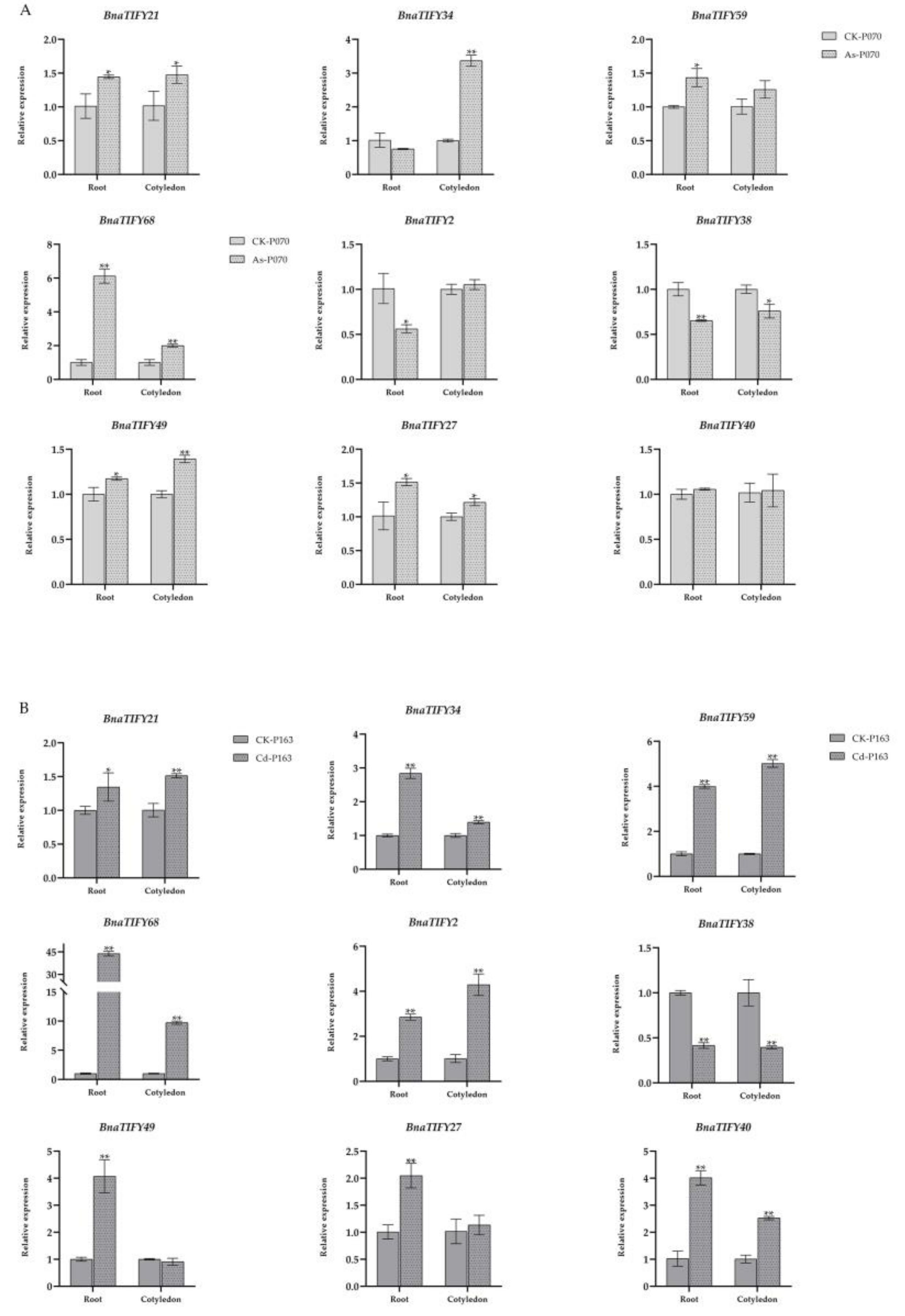 Plants 11 00667 g007
