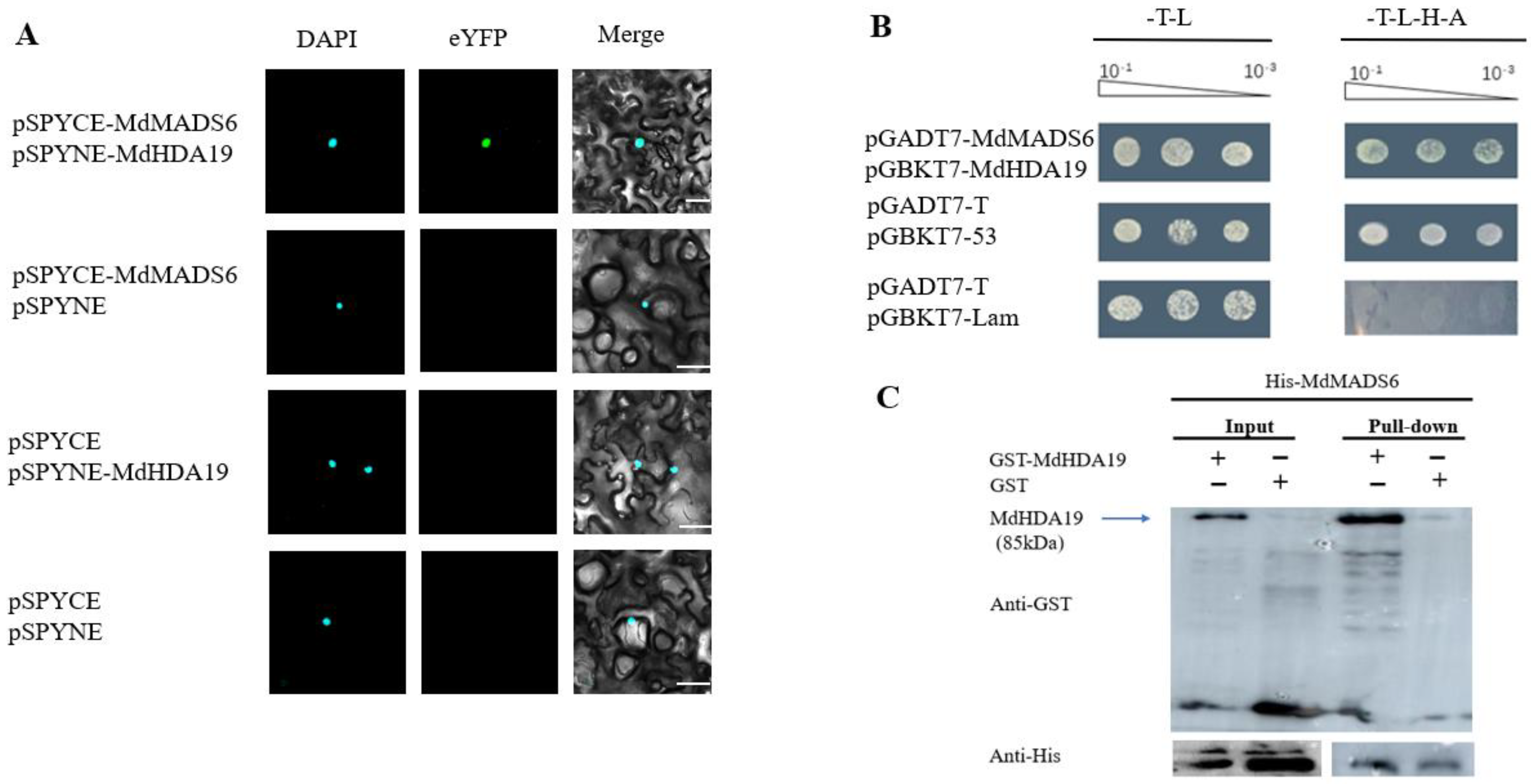 Plants 11 00668 g002