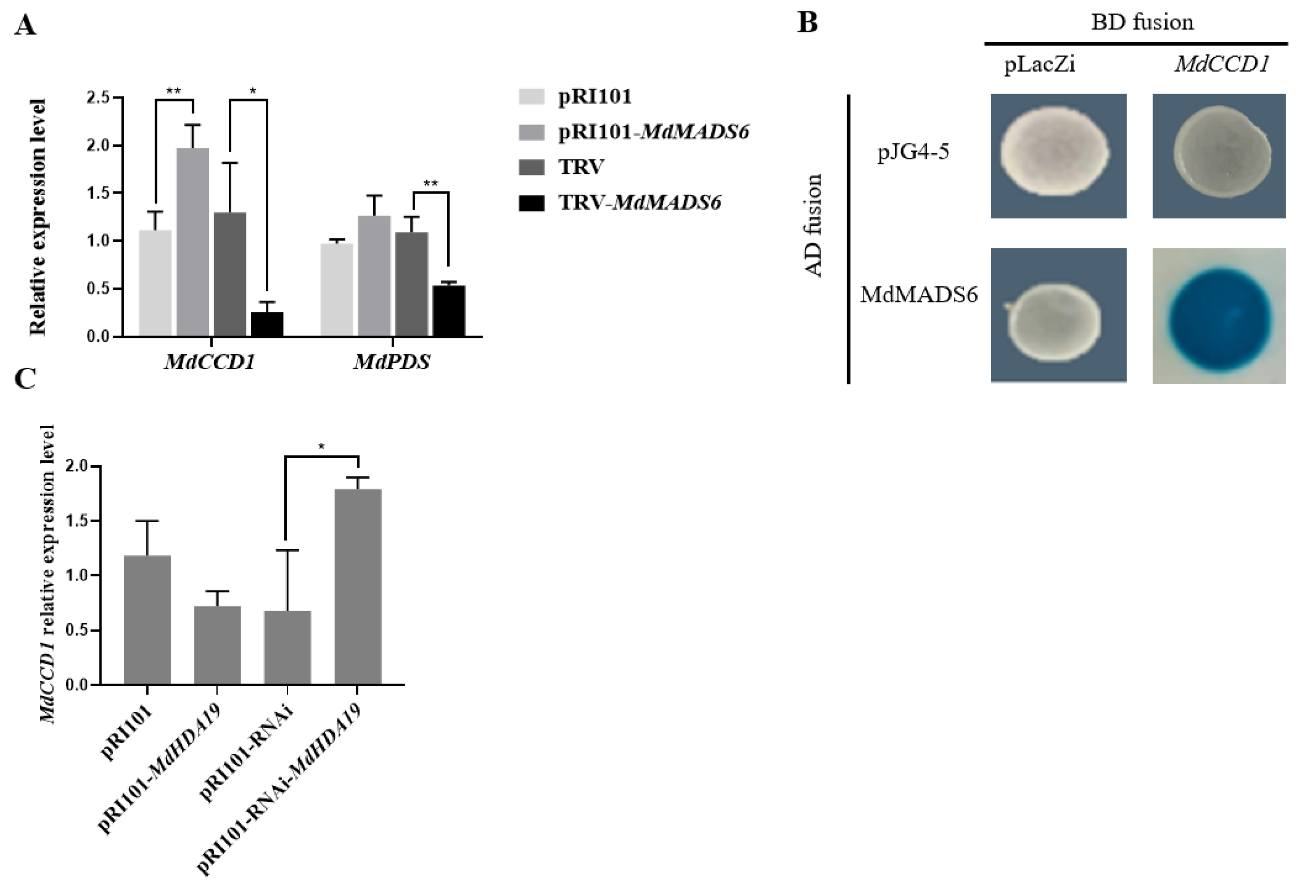 Plants 11 00668 g005