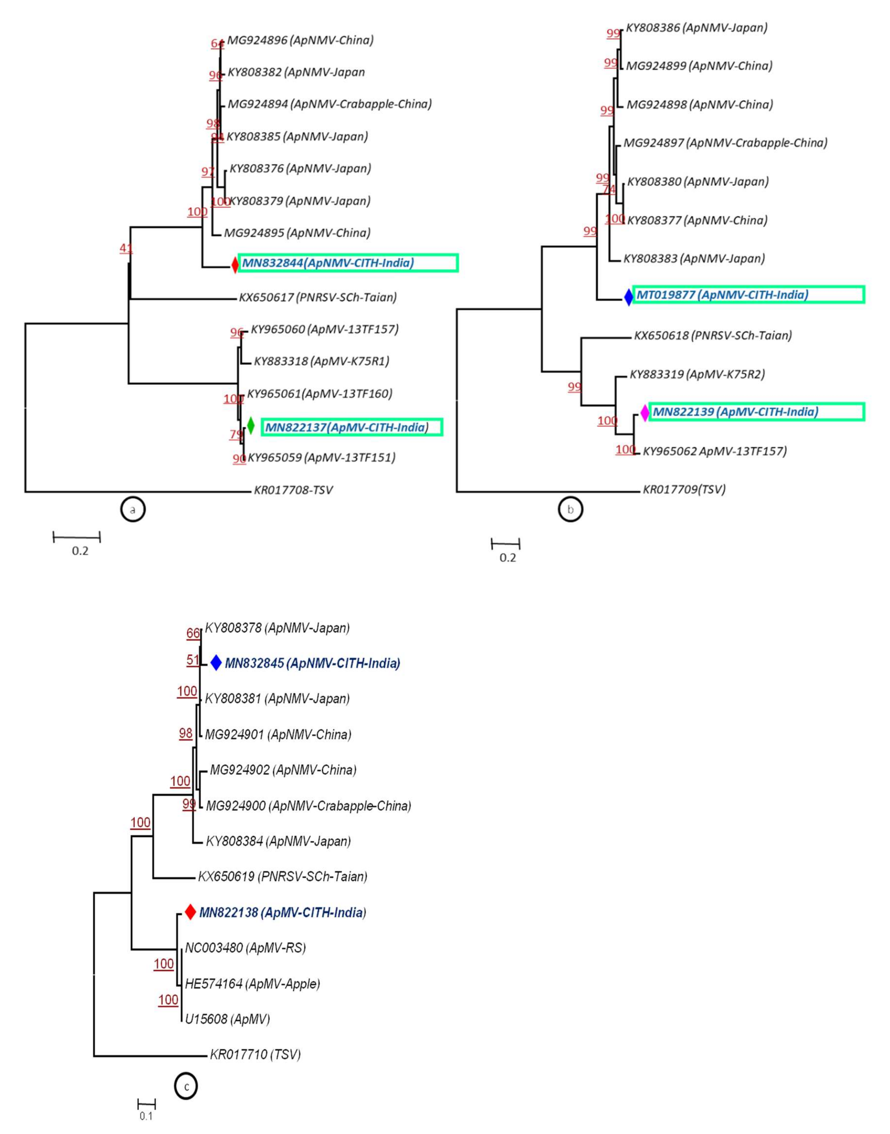 Plants 11 00675 g005