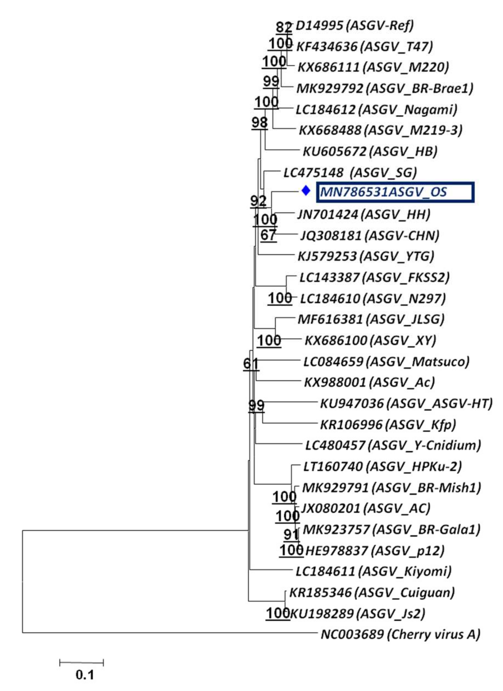 Plants 11 00675 g007
