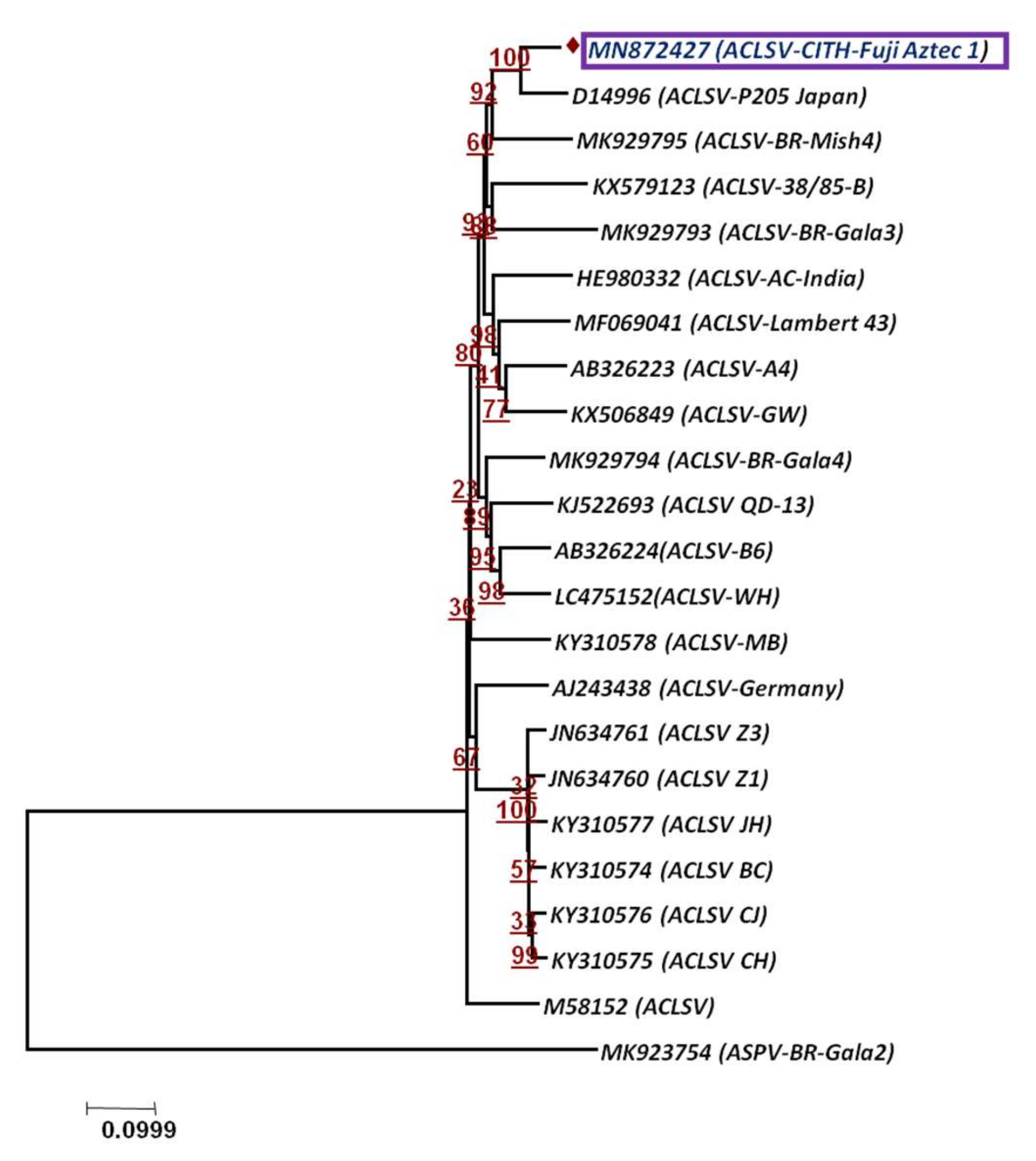 Plants 11 00675 g008