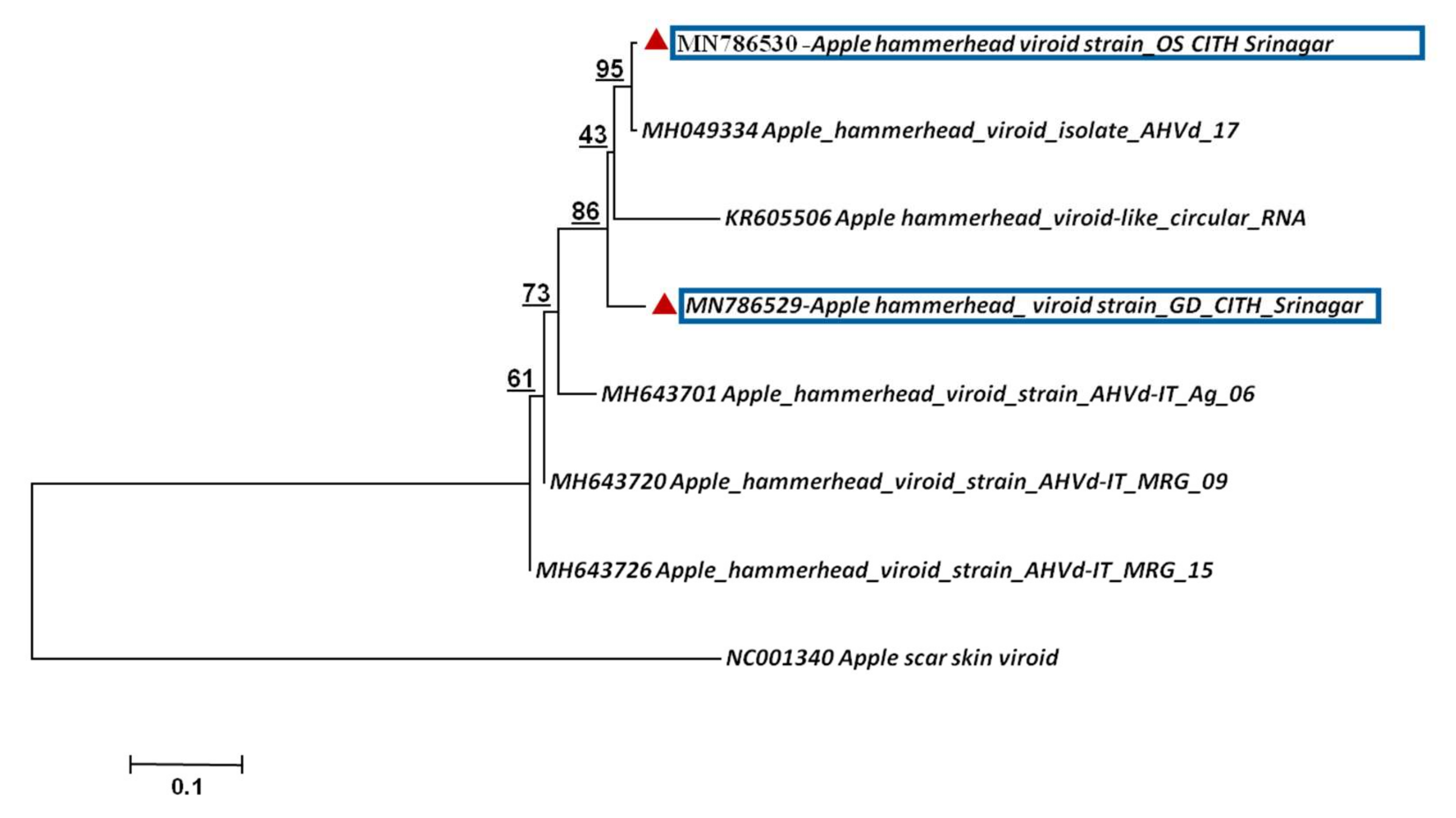 Plants 11 00675 g009