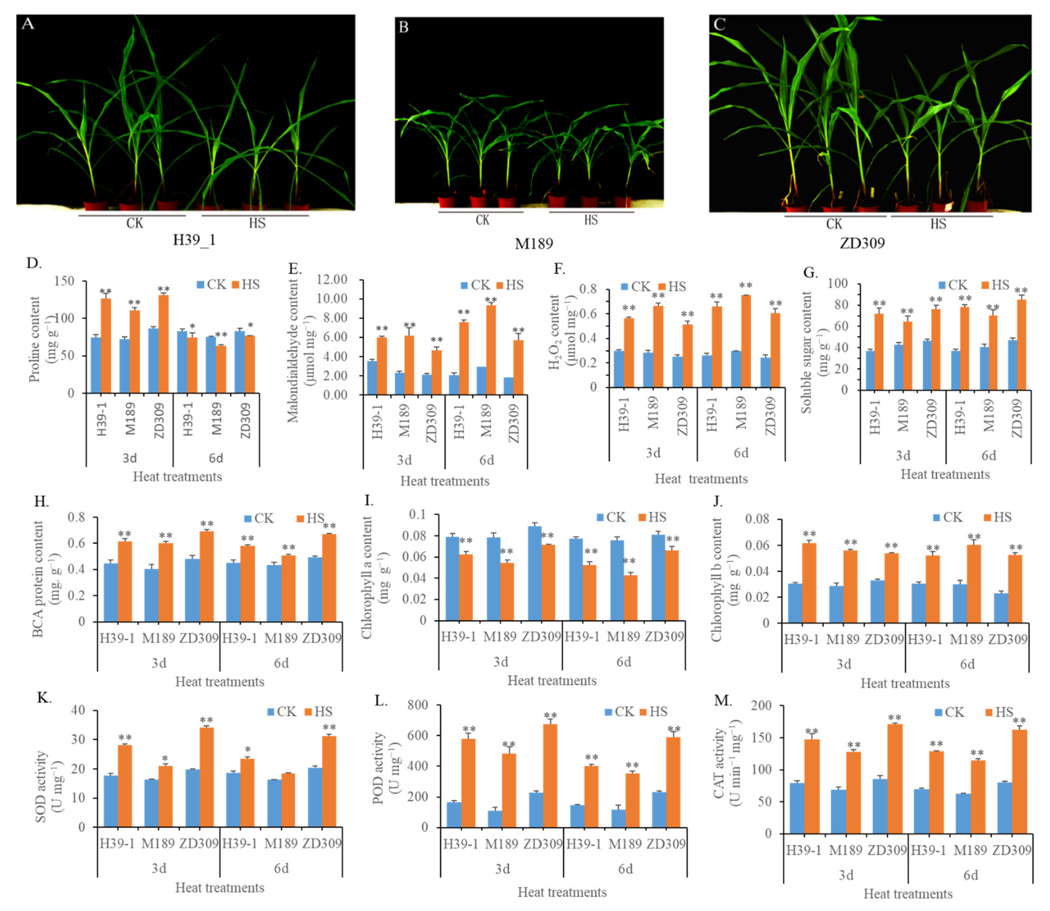Plants | Free Full-Text | Uncovering the Gene Regulatory Network 