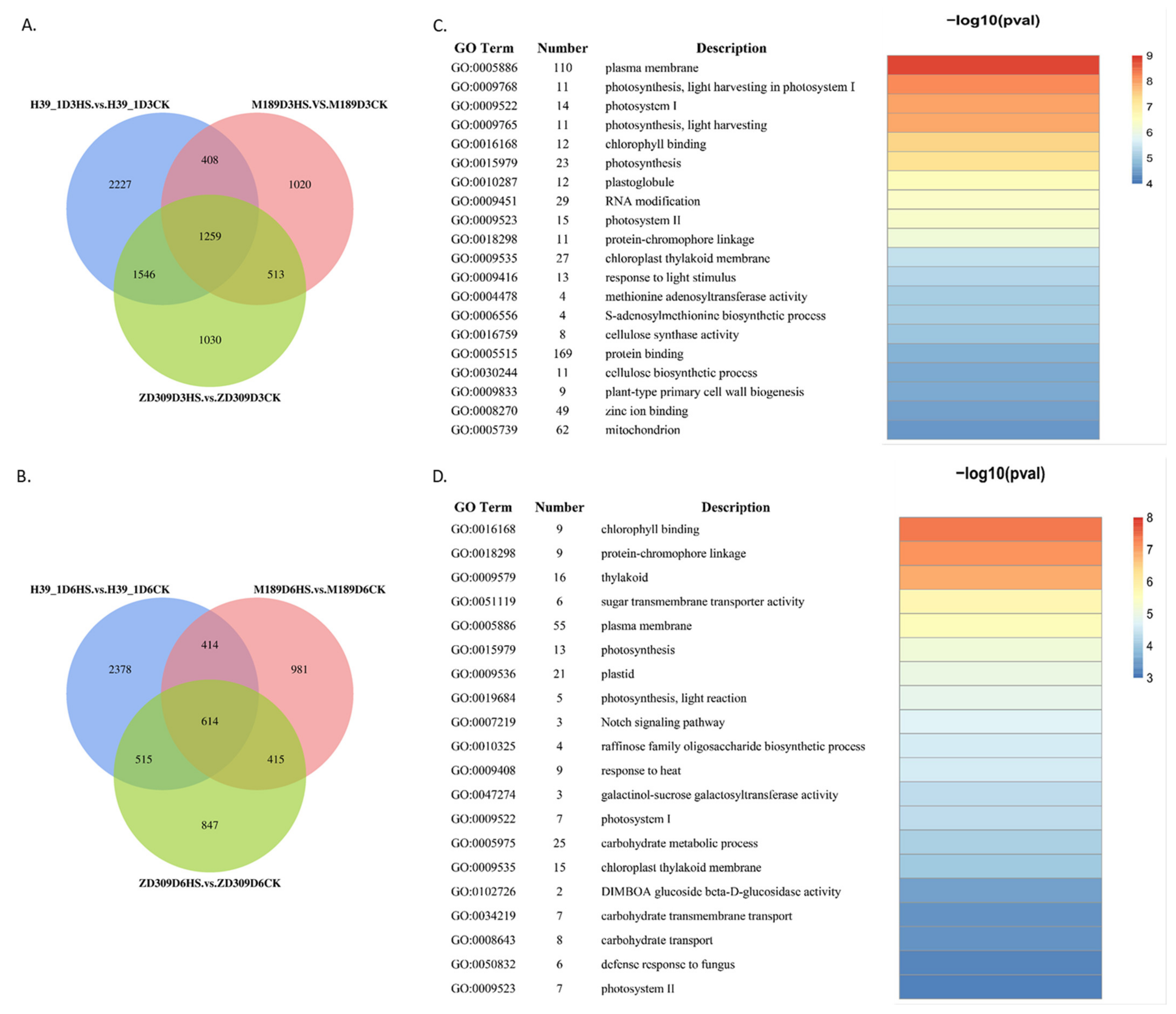 Plants 11 00677 g002 550
