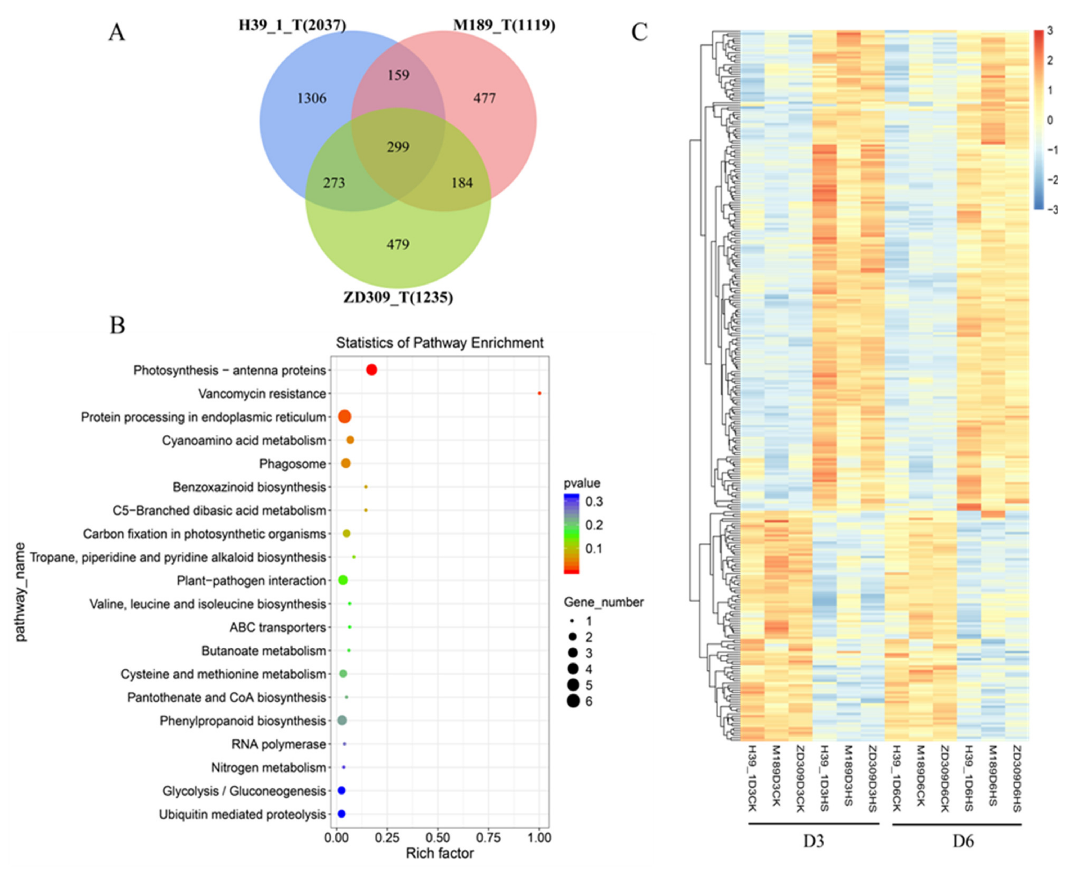 Plants 11 00677 g004 550