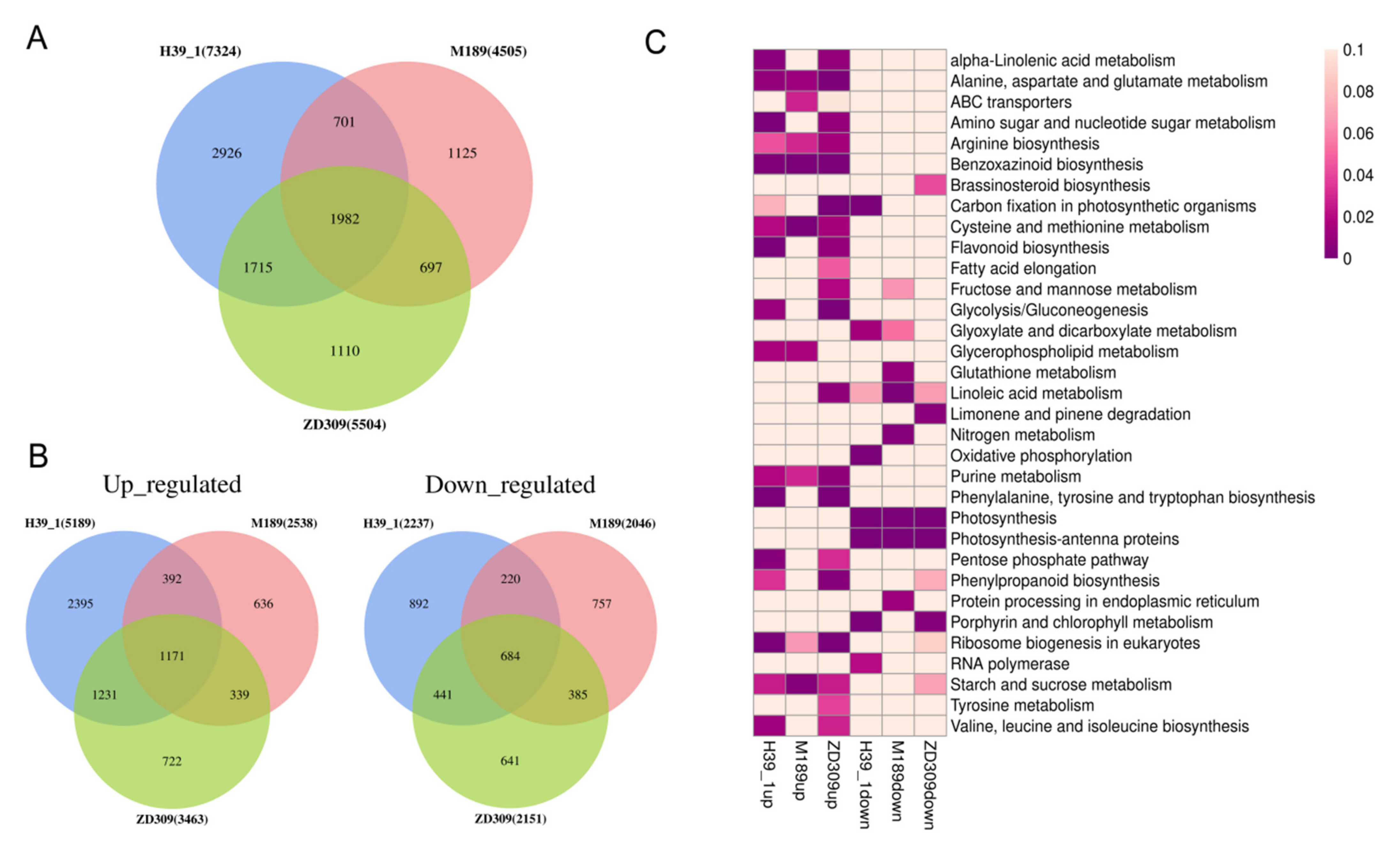 Plants 11 00677 g006 550