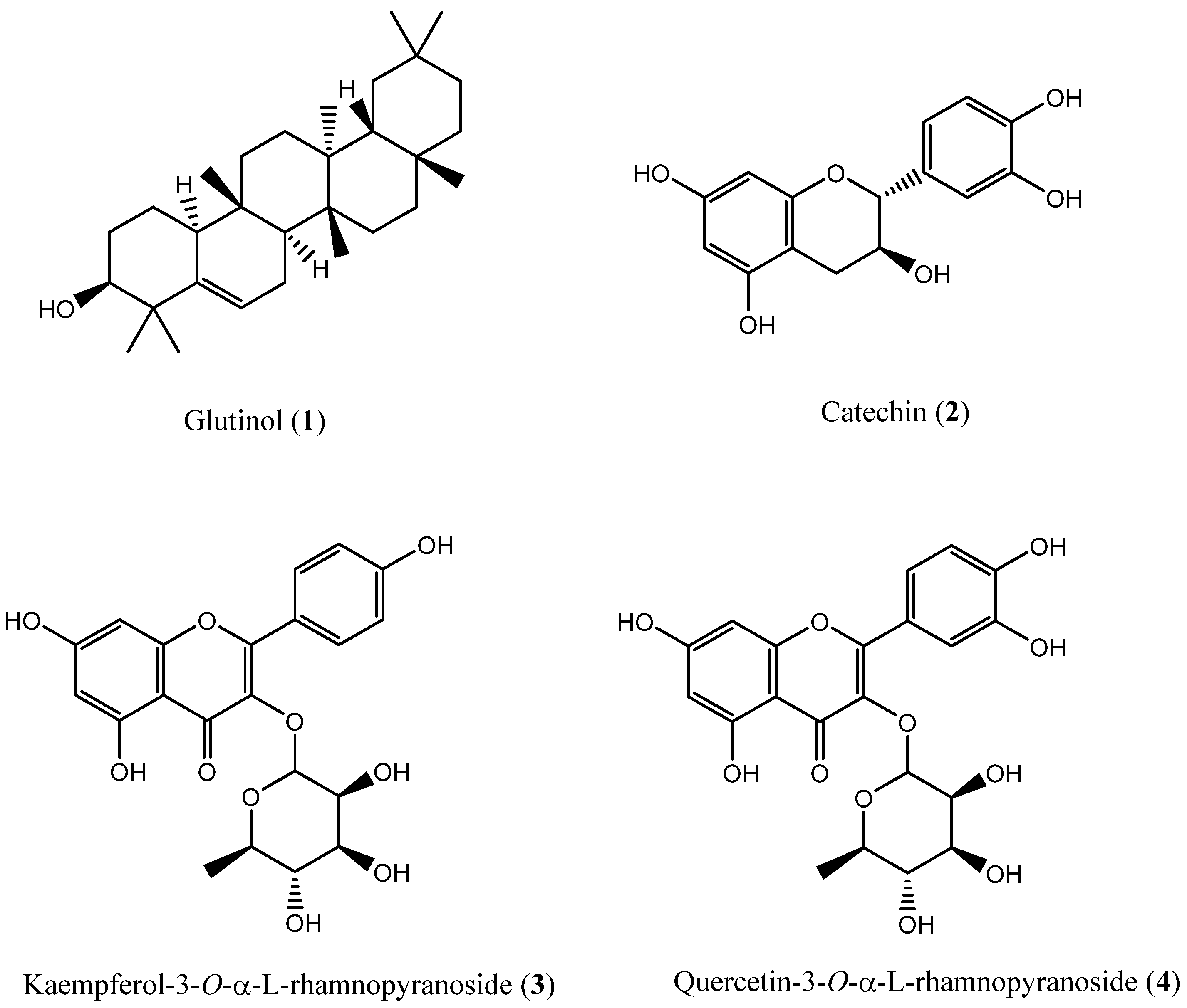 Plants 11 00681 g001 550