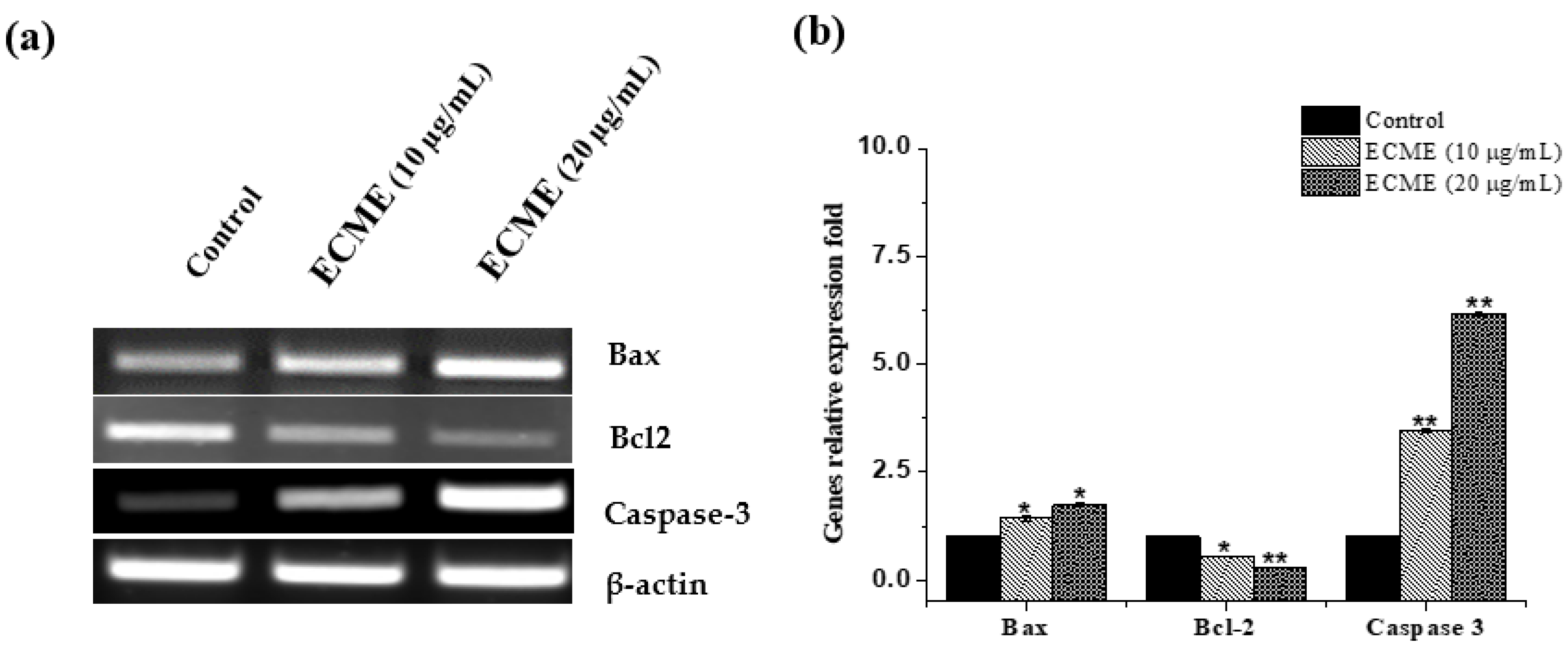 Plants 11 00681 g005 550