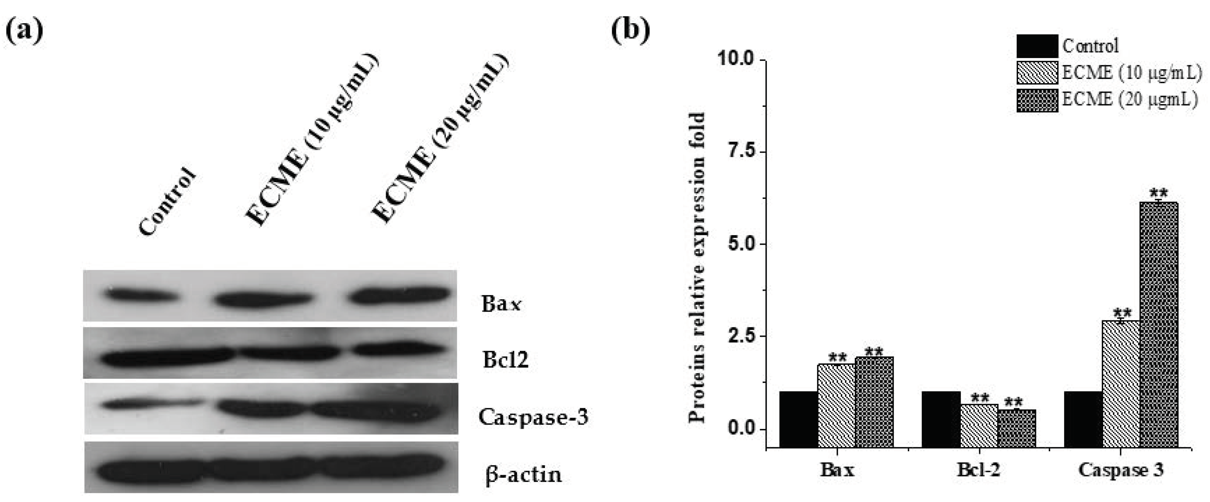 Plants 11 00681 g006 550