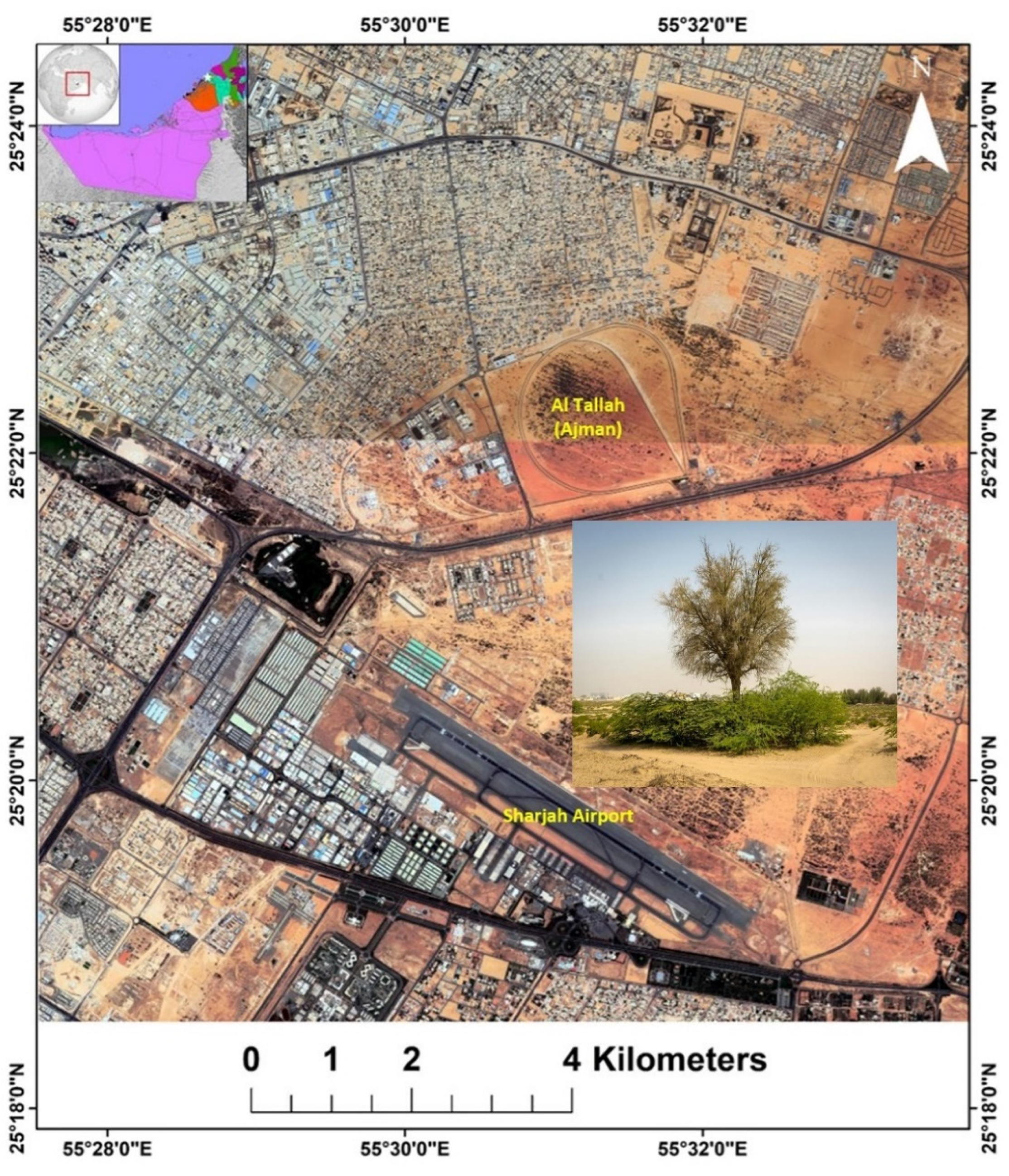 Plants 11 00682 g002 550