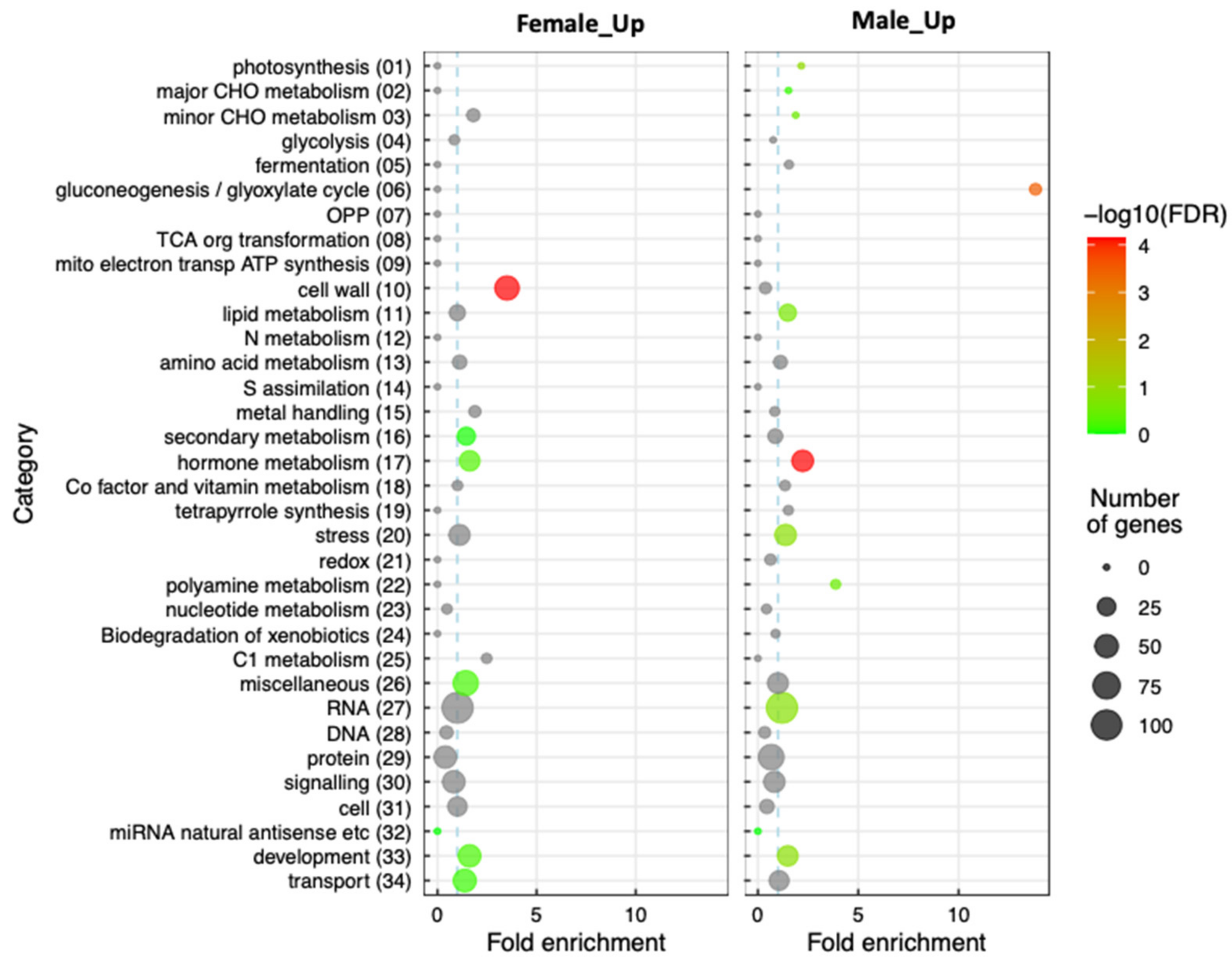 Plants 11 00685 g003
