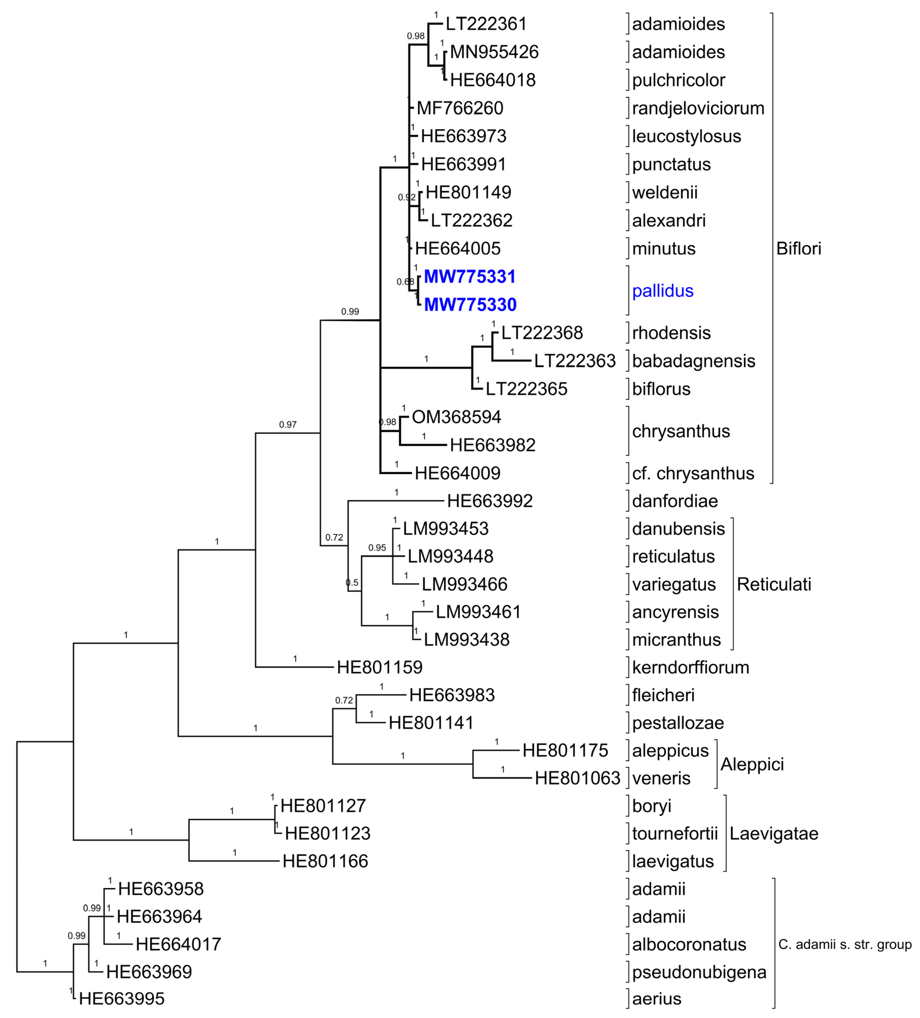 Plants 11 00686 g007 550