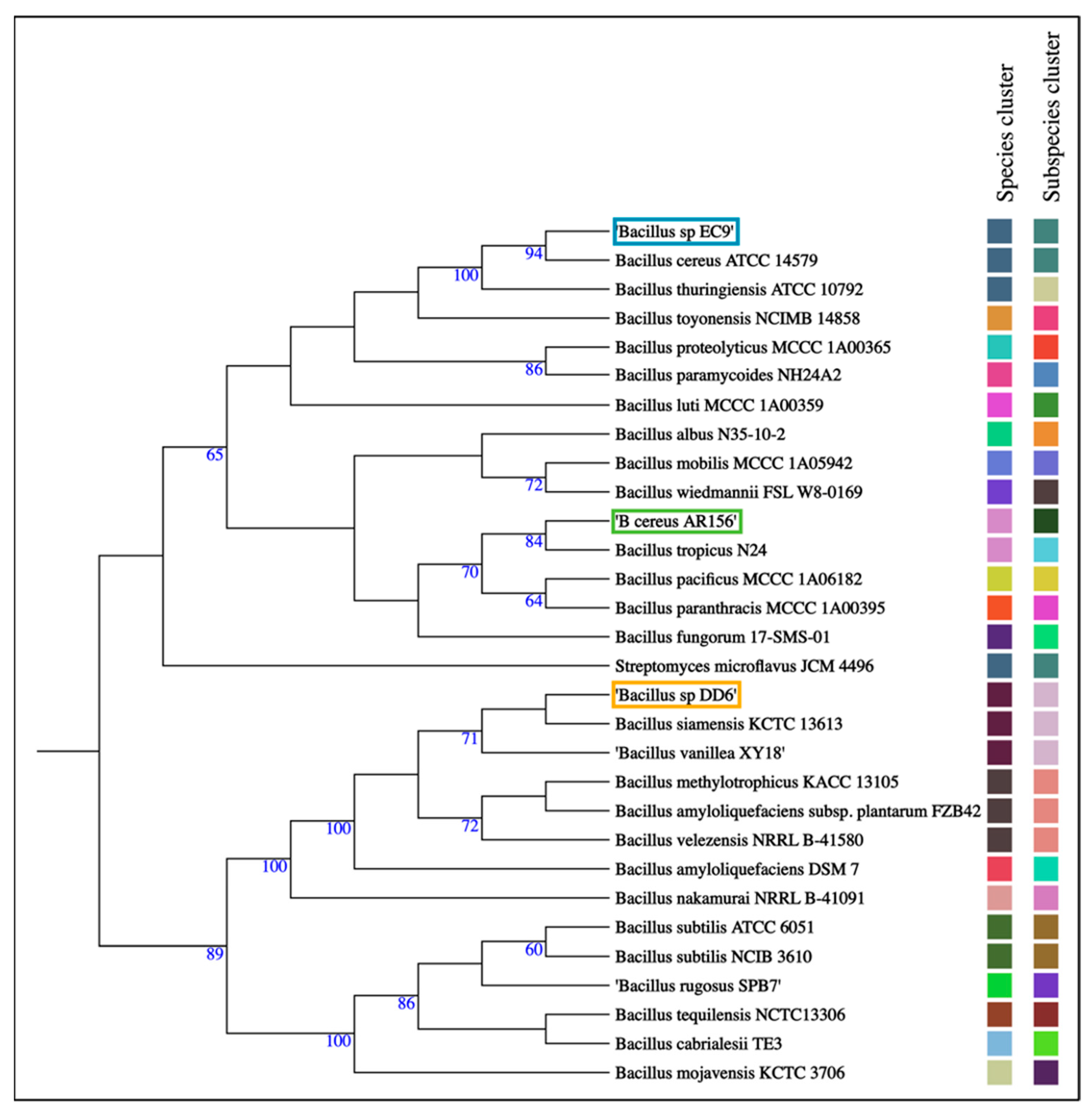 Plants 11 00687 g004 550