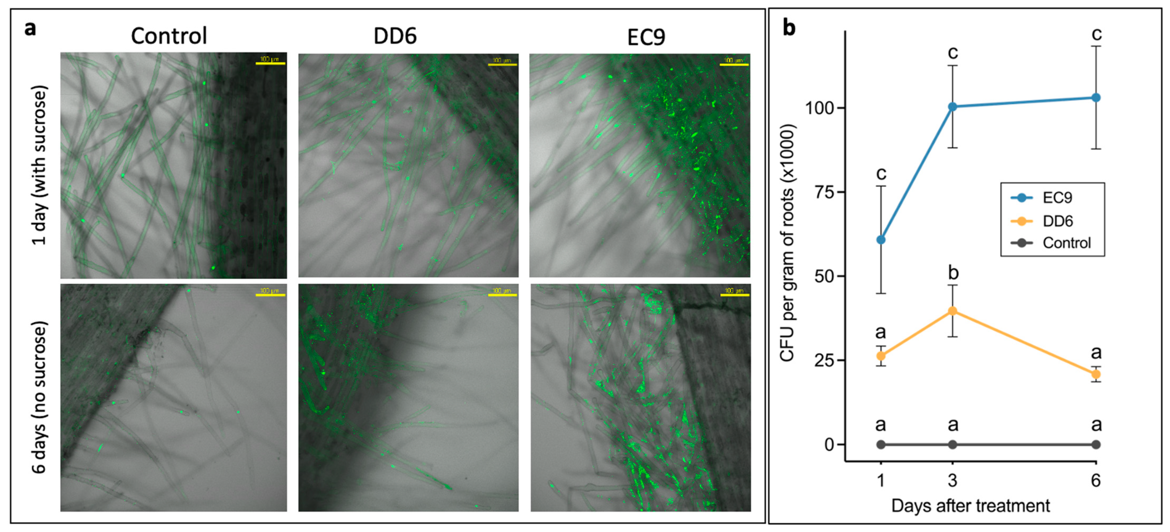 Plants 11 00687 g007 550
