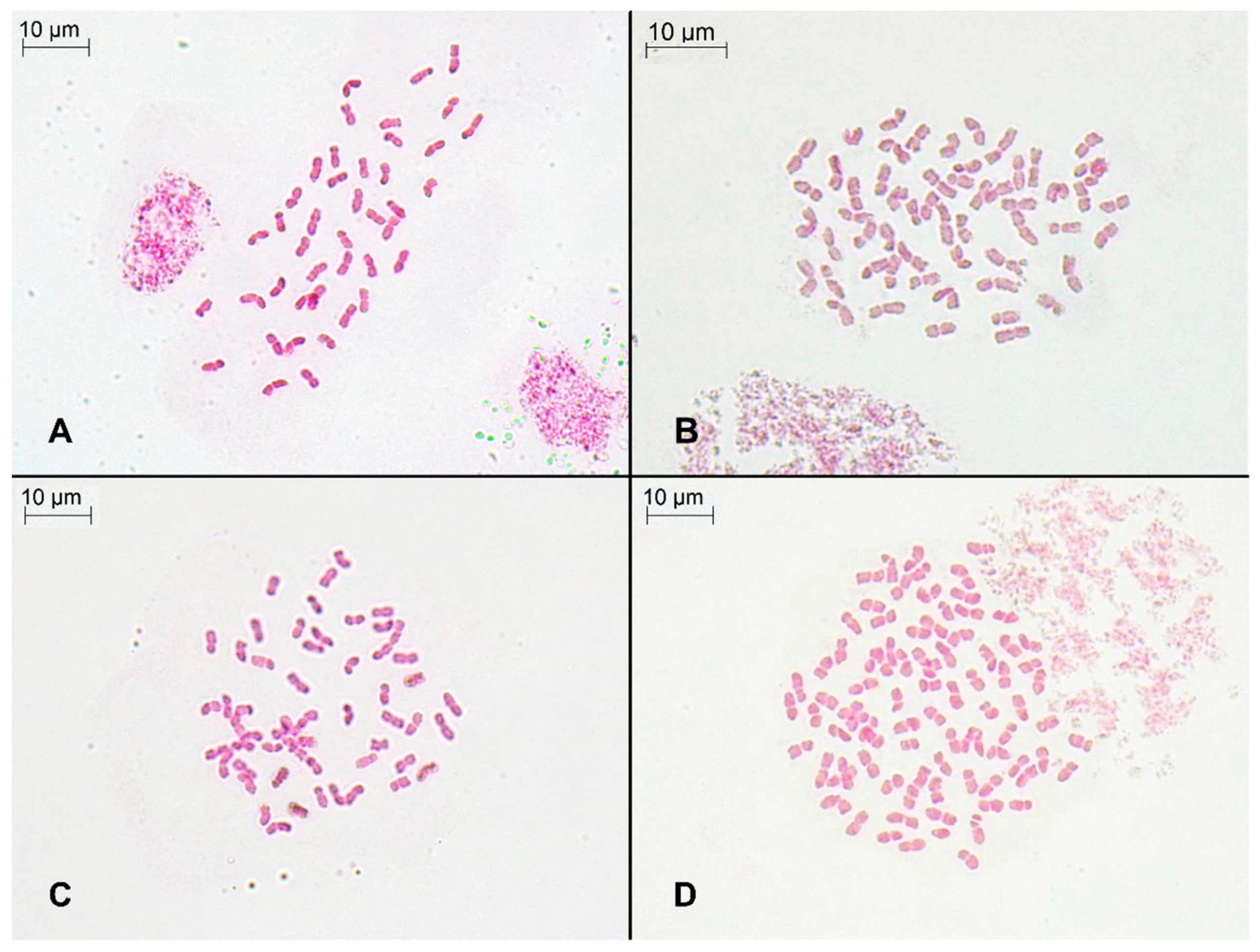 Plants 11 00693 g003 550