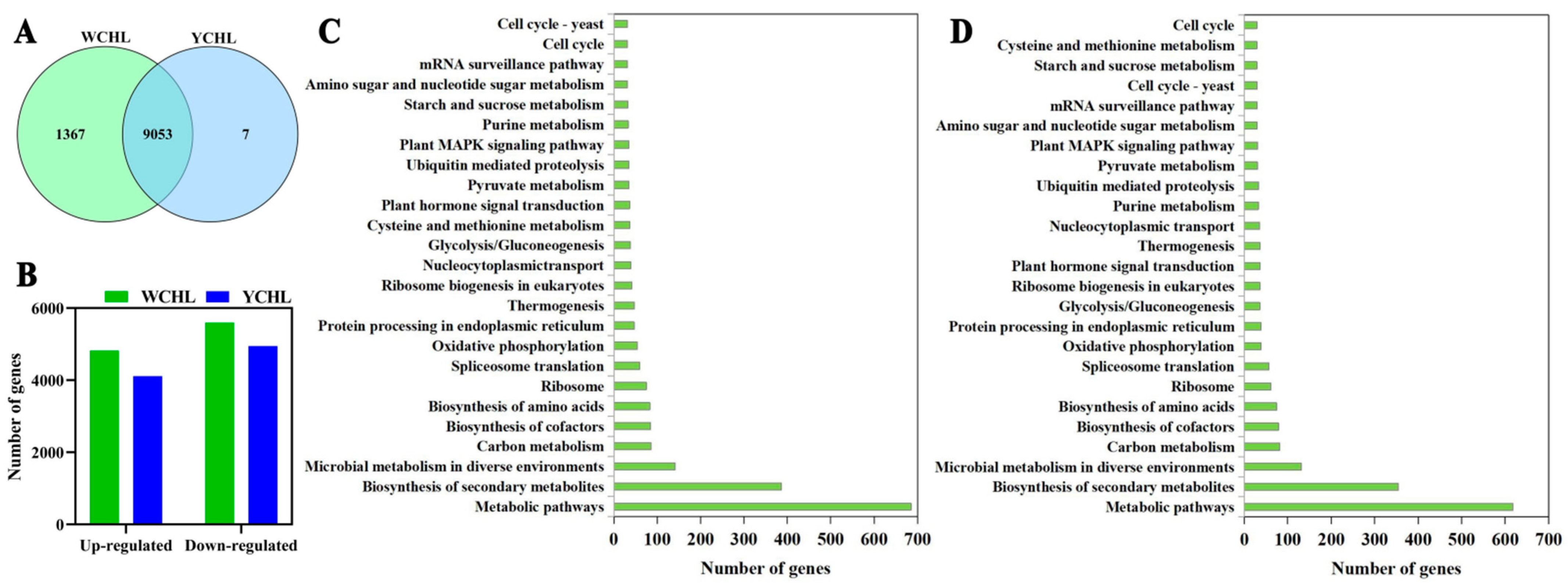 Plants 11 00694 g005