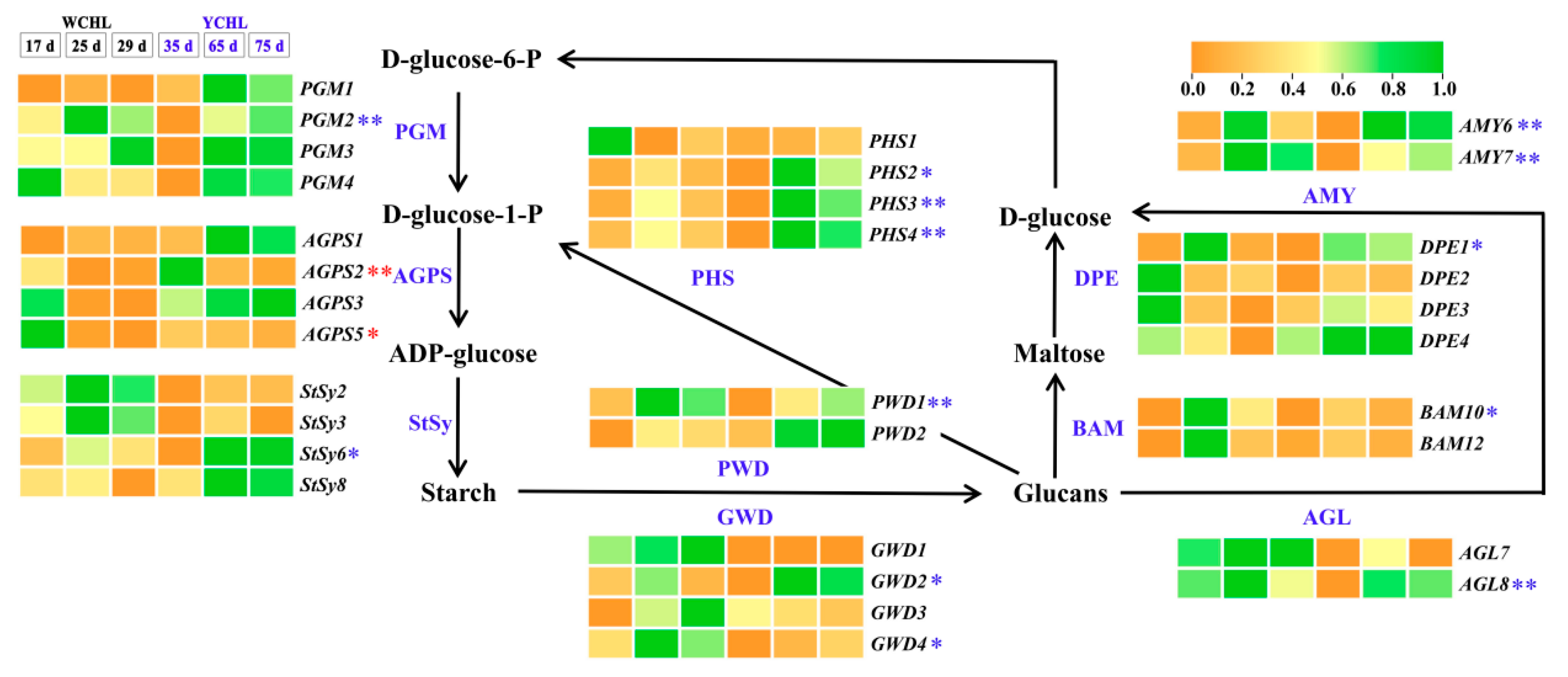 Plants 11 00694 g007