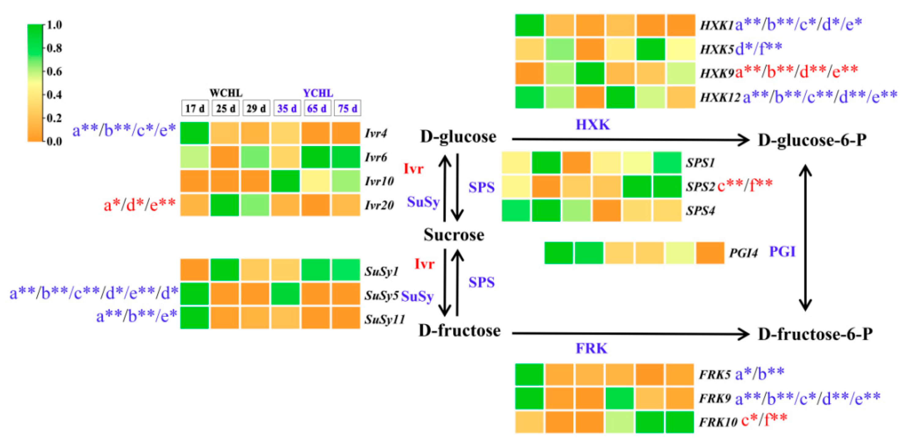 Plants 11 00694 g008