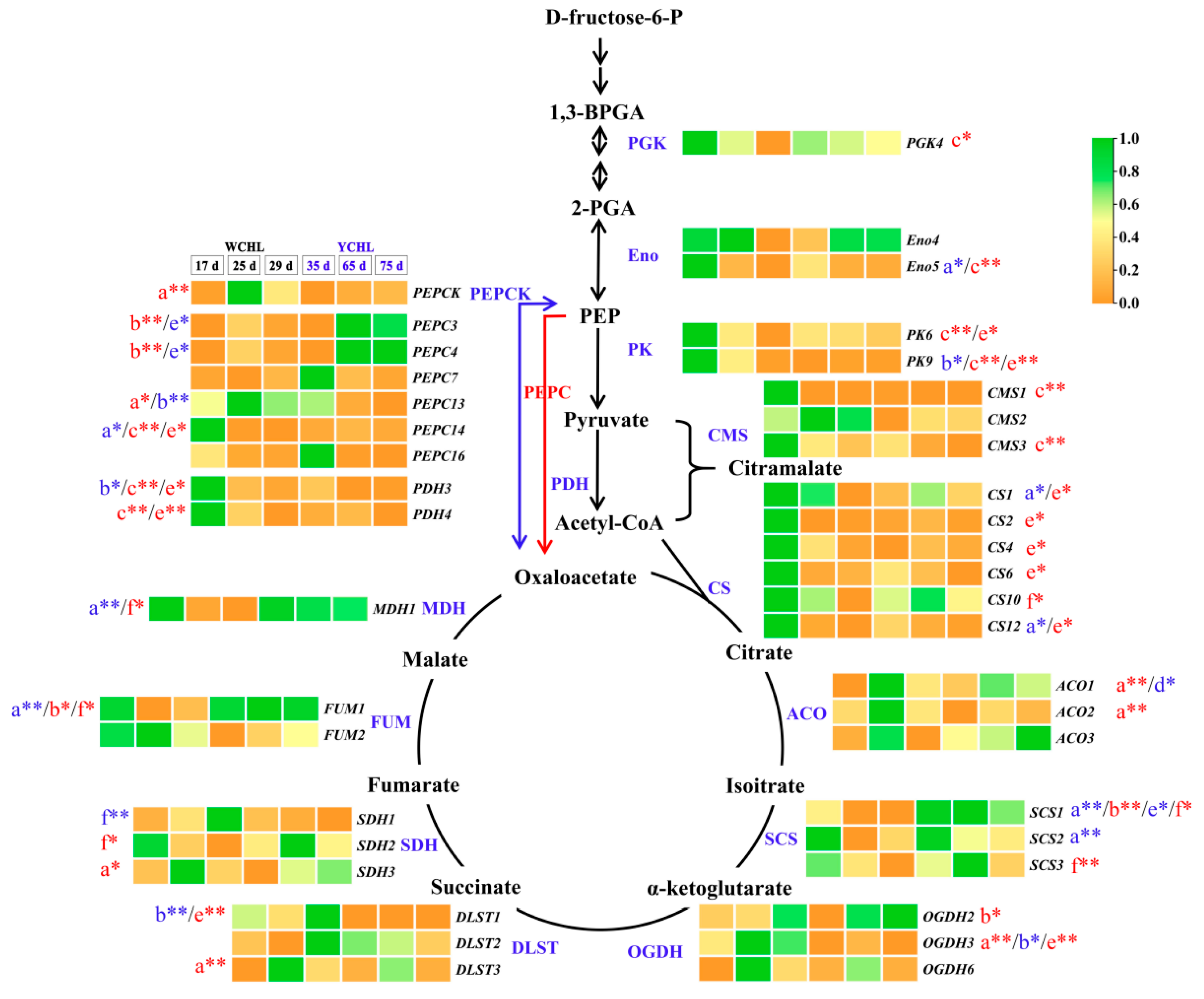 Plants 11 00694 g009