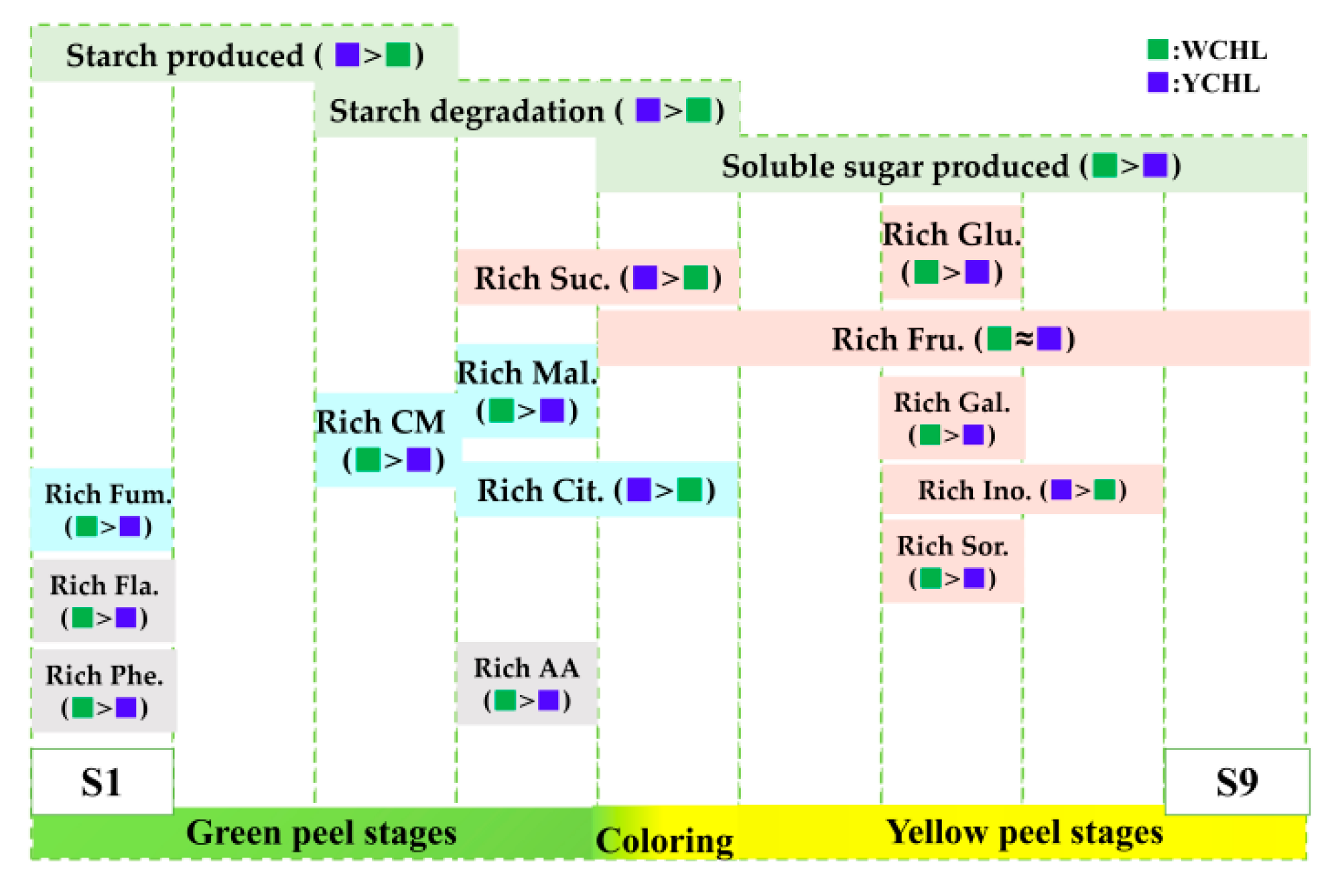 Plants 11 00694 g010