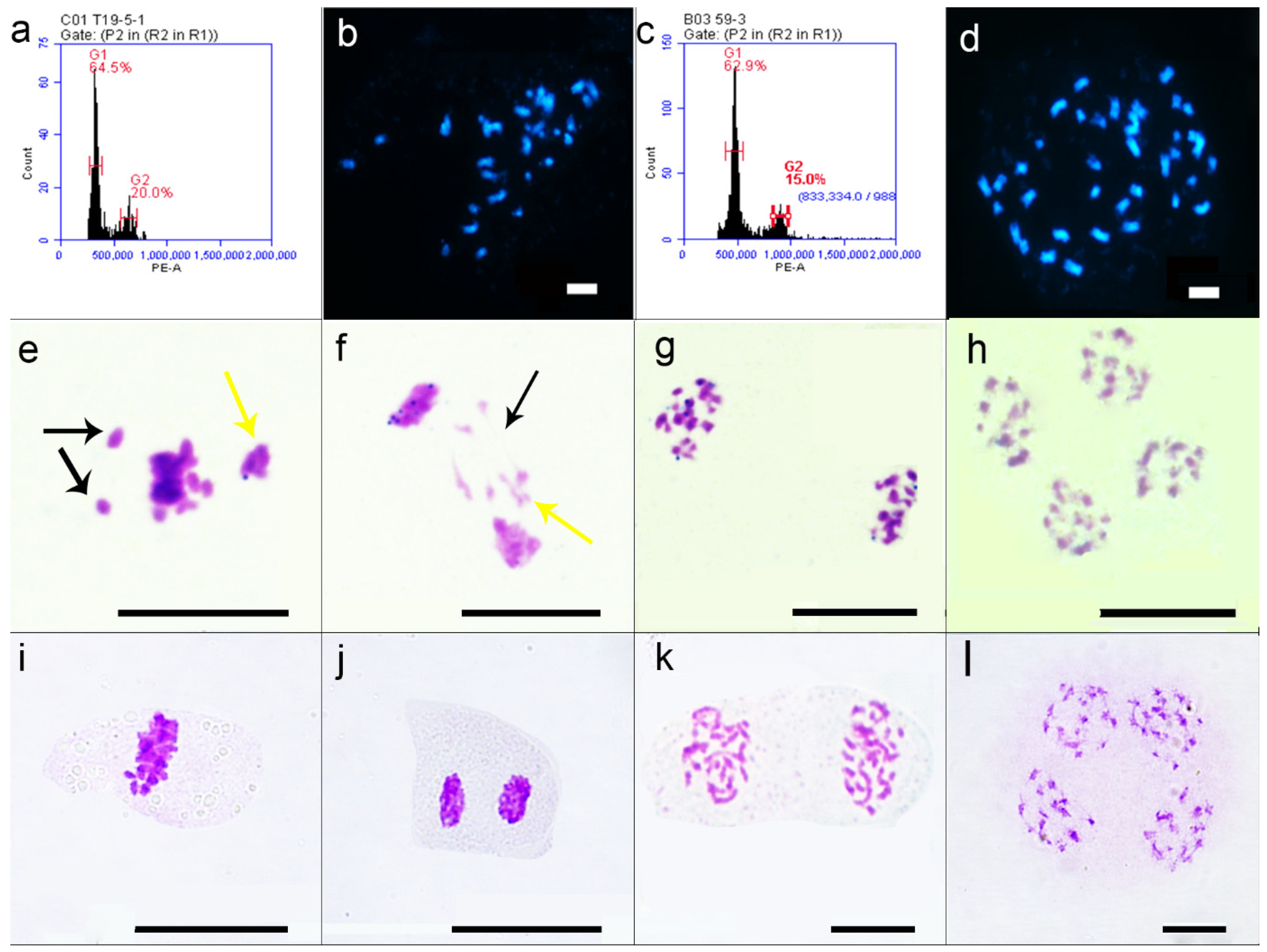 Plants 11 00695 g002 Plants 11 00695 g002