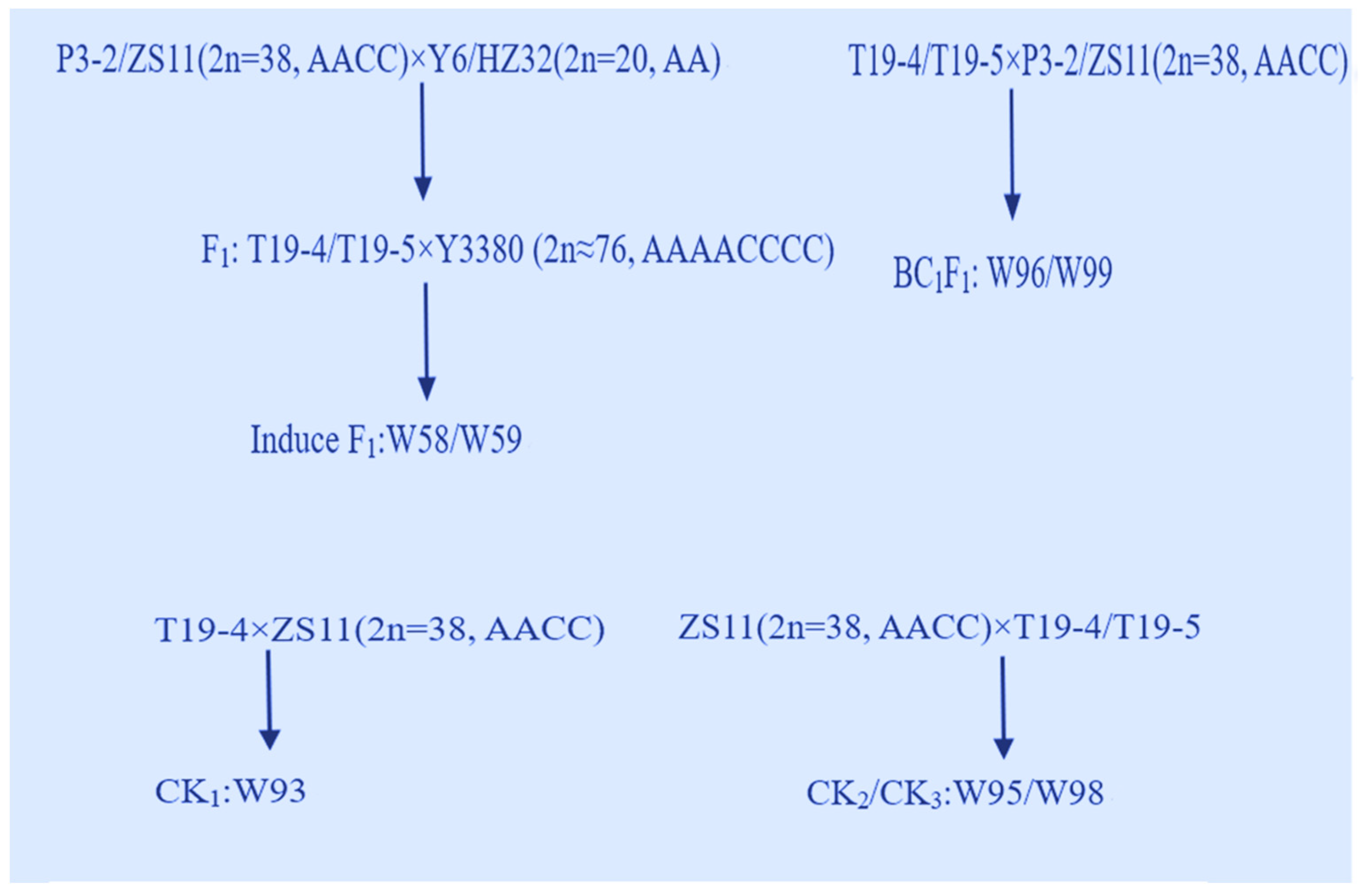Plants 11 00695 g006 Plants 11 00695 g006