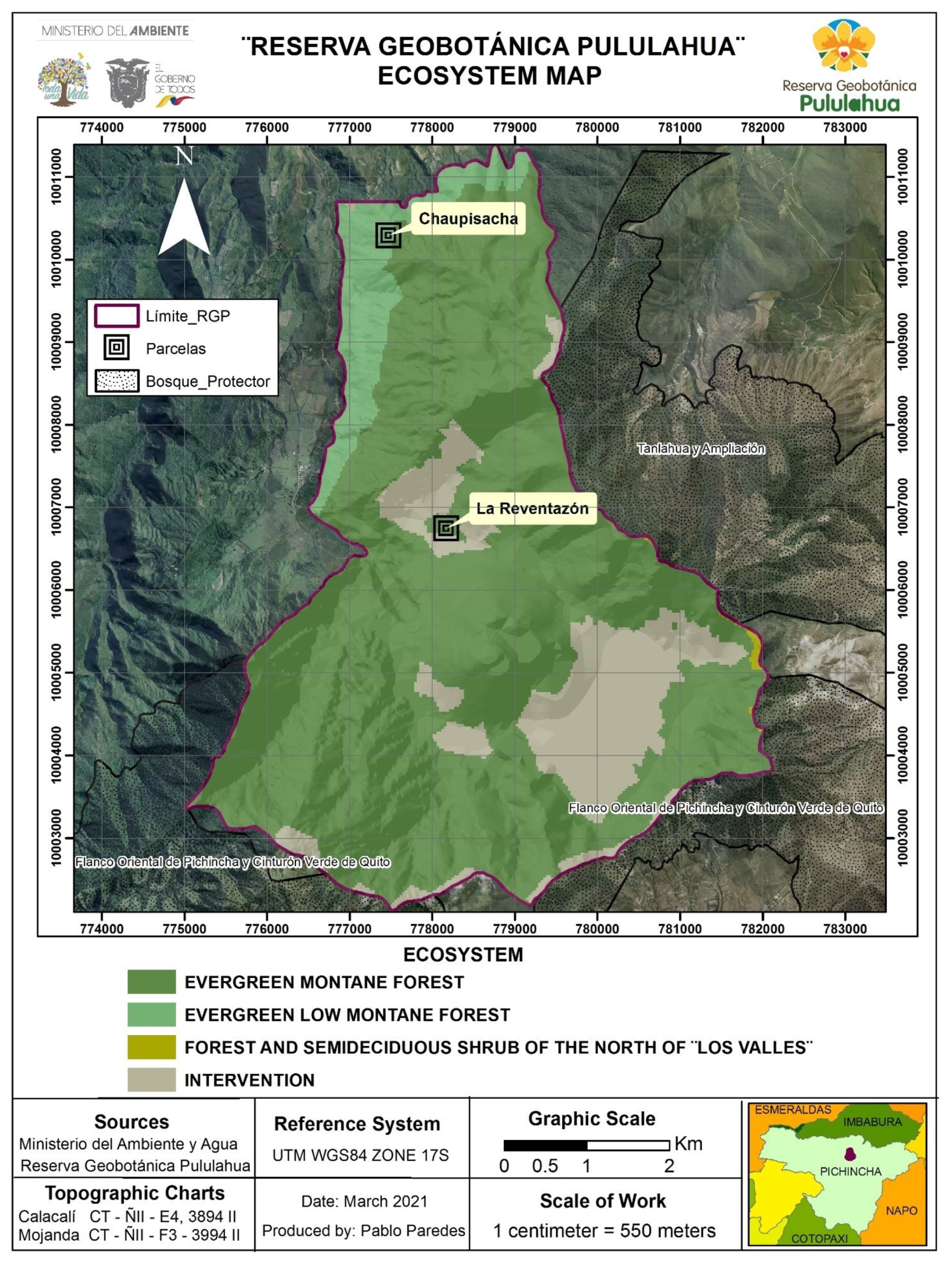 Plants 11 00698 g001 550
