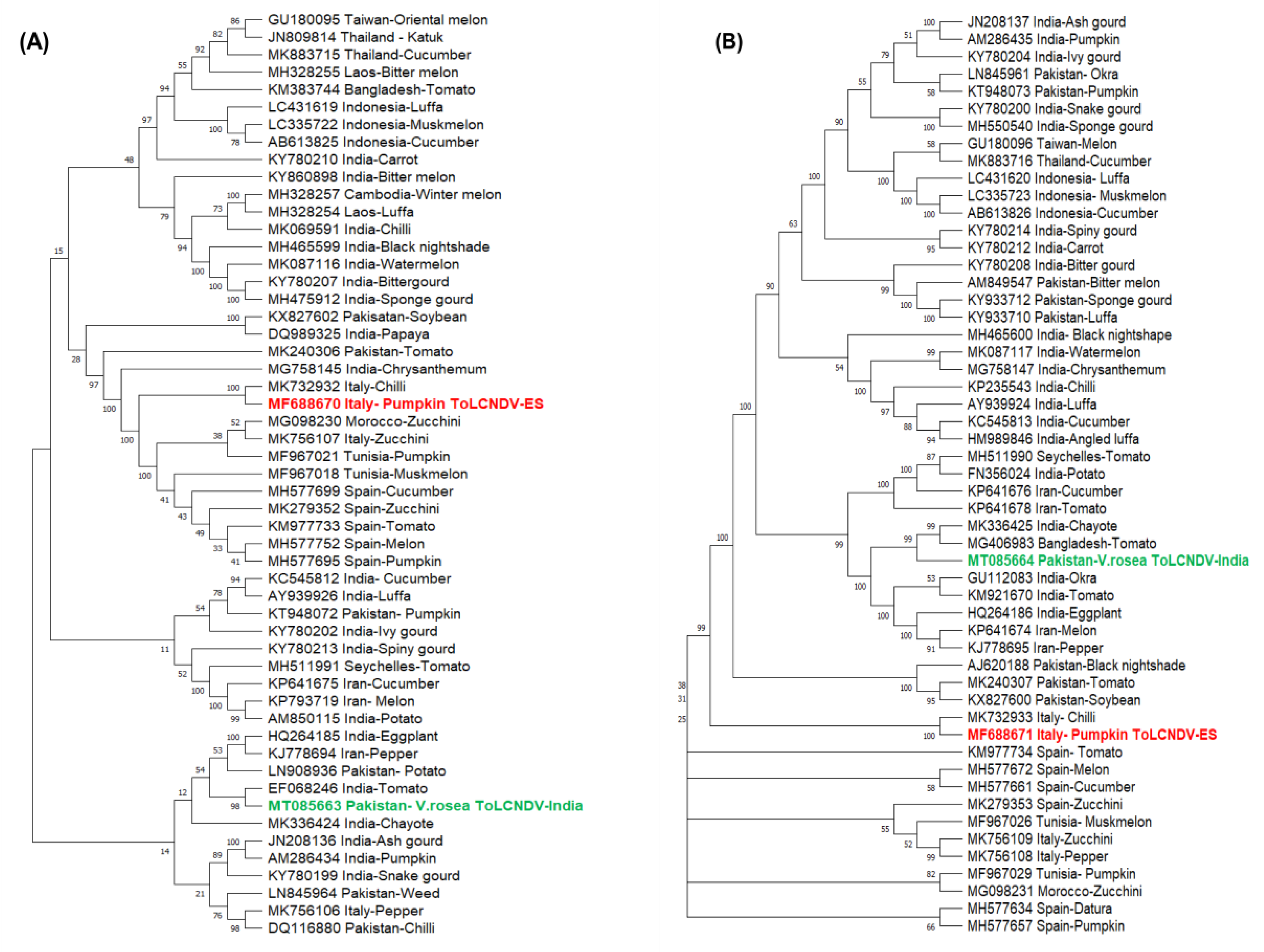 Plants 11 00704 g001