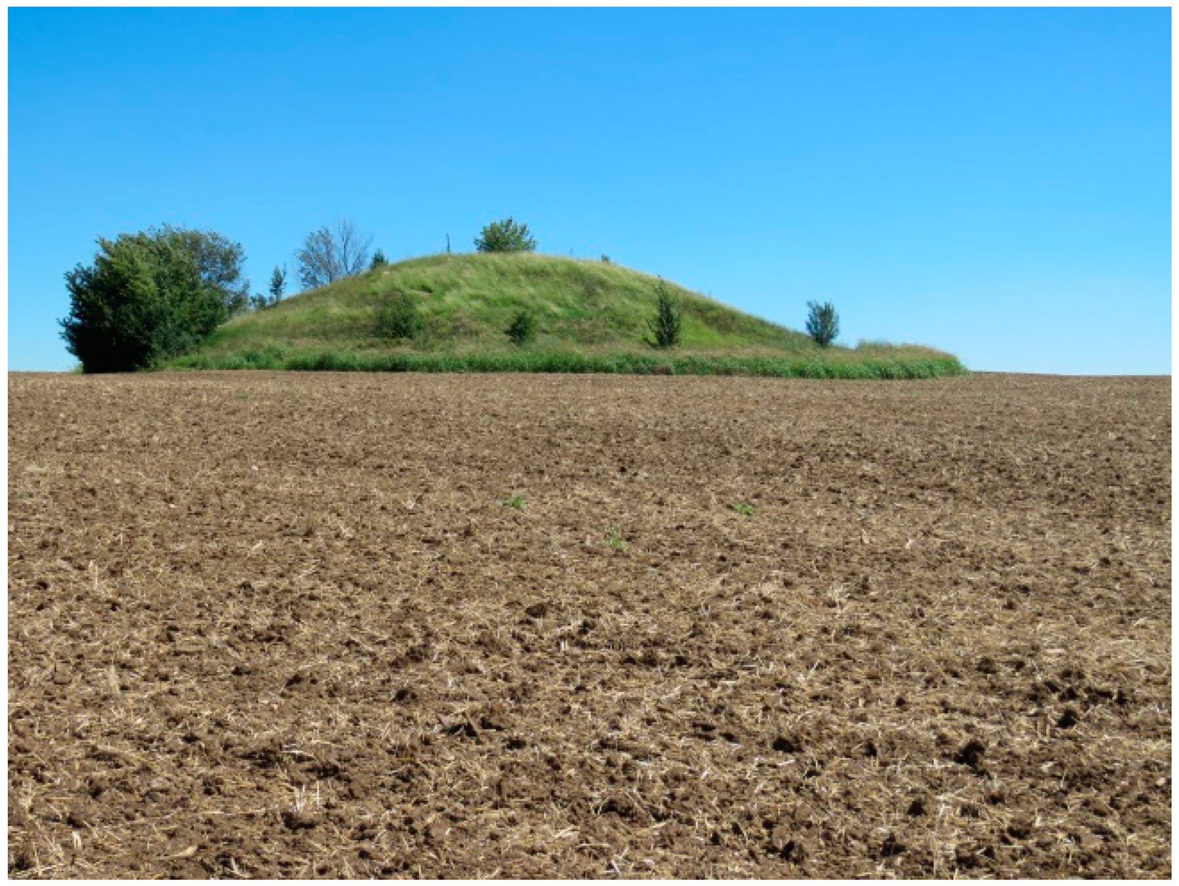 Plants 11 00705 g002 Plants 11 00705 g002