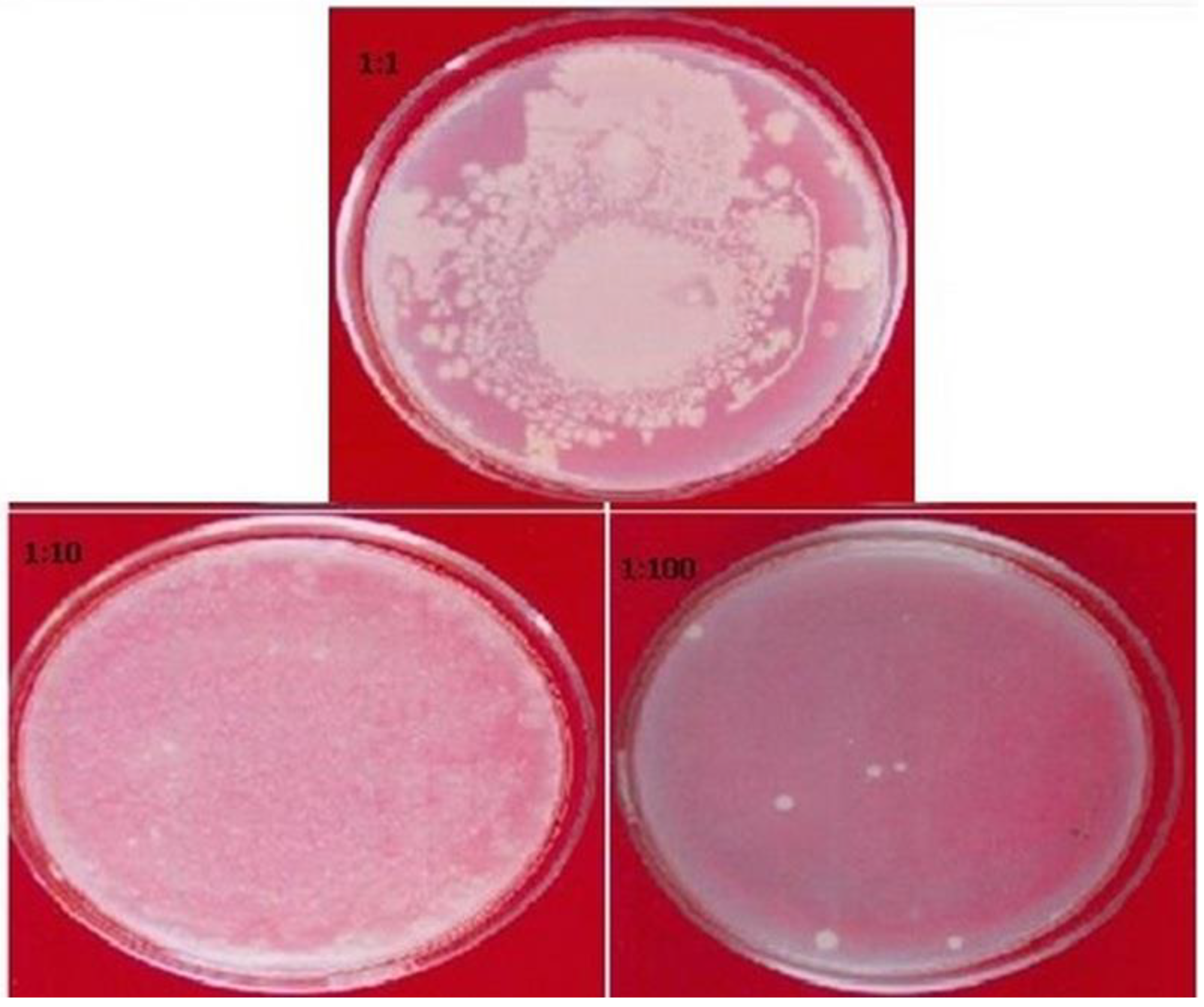 Plants 11 00706 g004 550