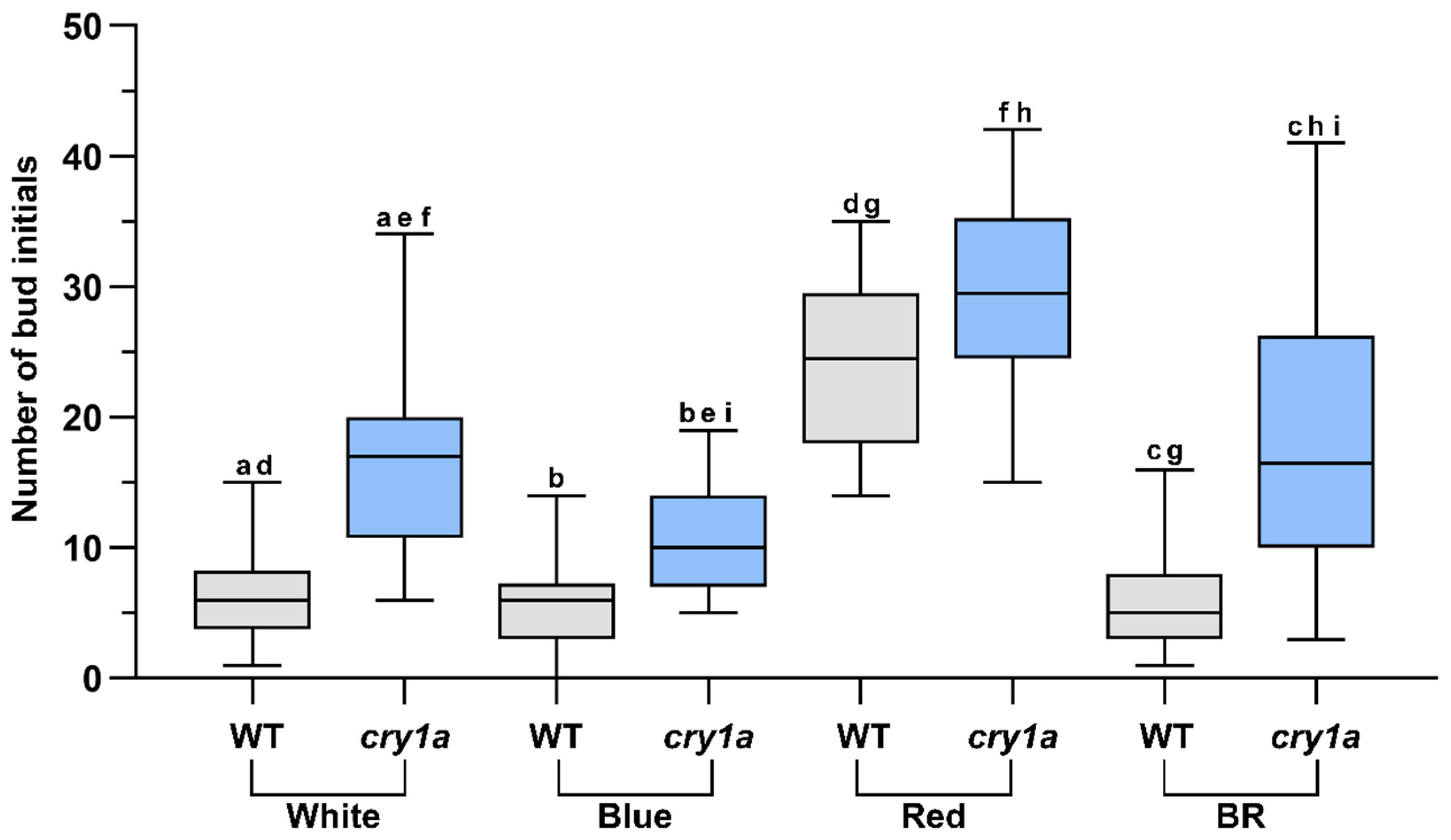 Plants 11 00707 g006 Plants 11 00707 g006