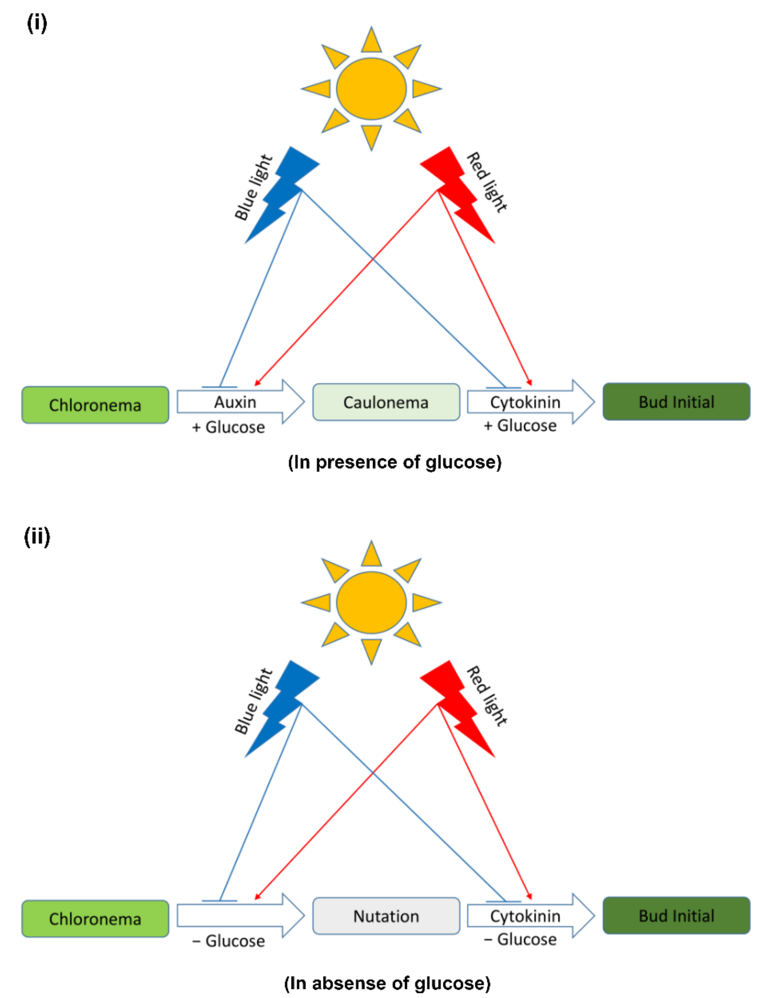 Plants 11 00707 g009 Plants 11 00707 g009
