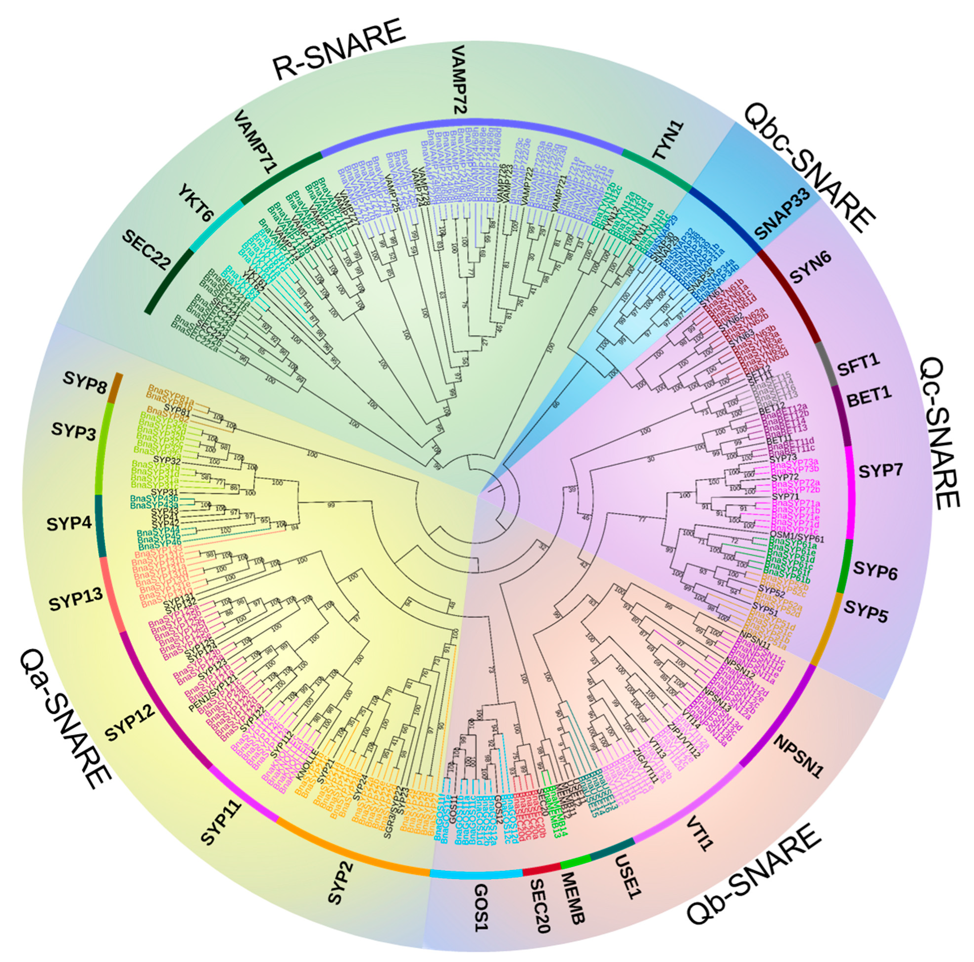 Plants 11 00711 g001 Plants 11 00711 g001