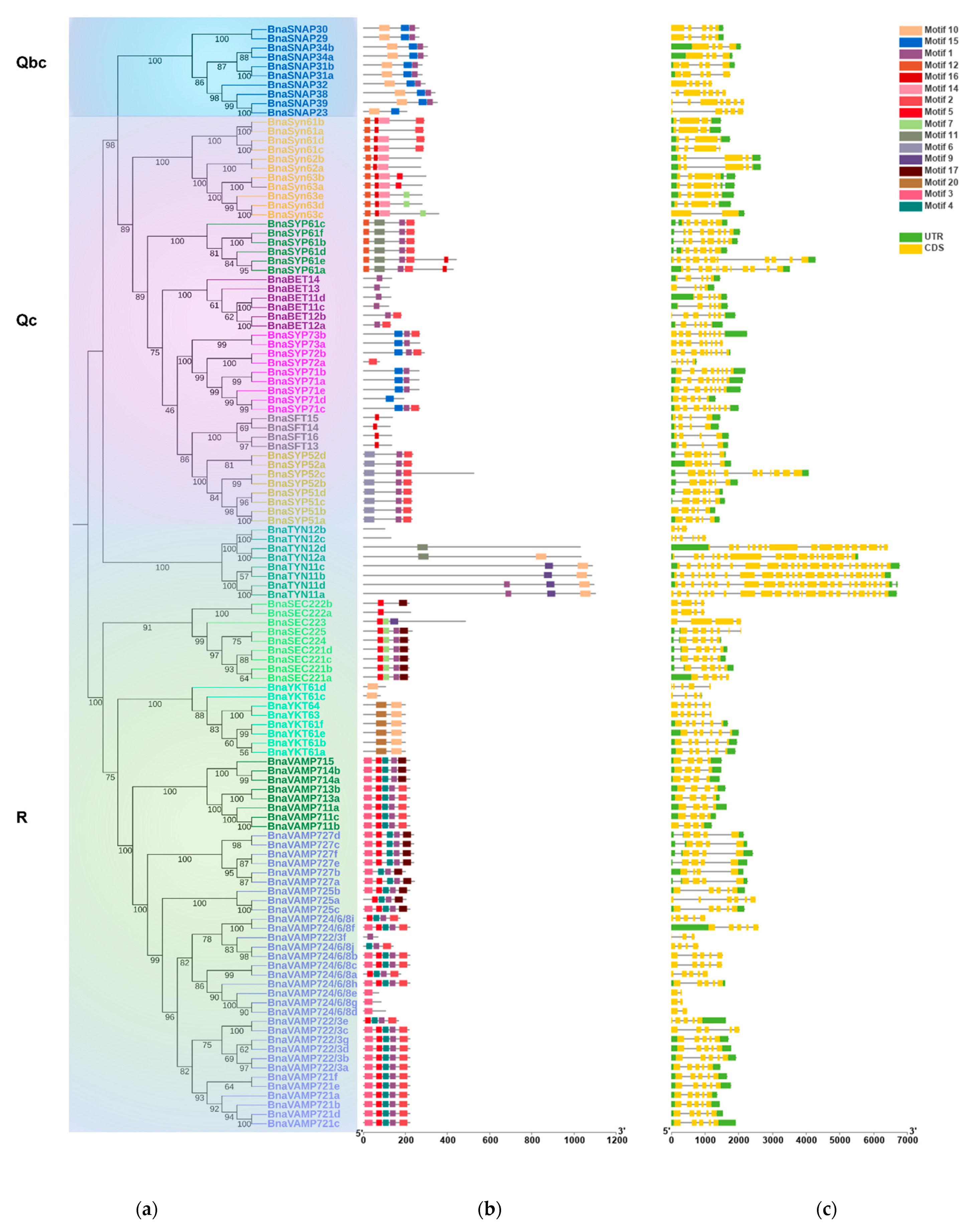 Plants 11 00711 g002b Plants 11 00711 g002b