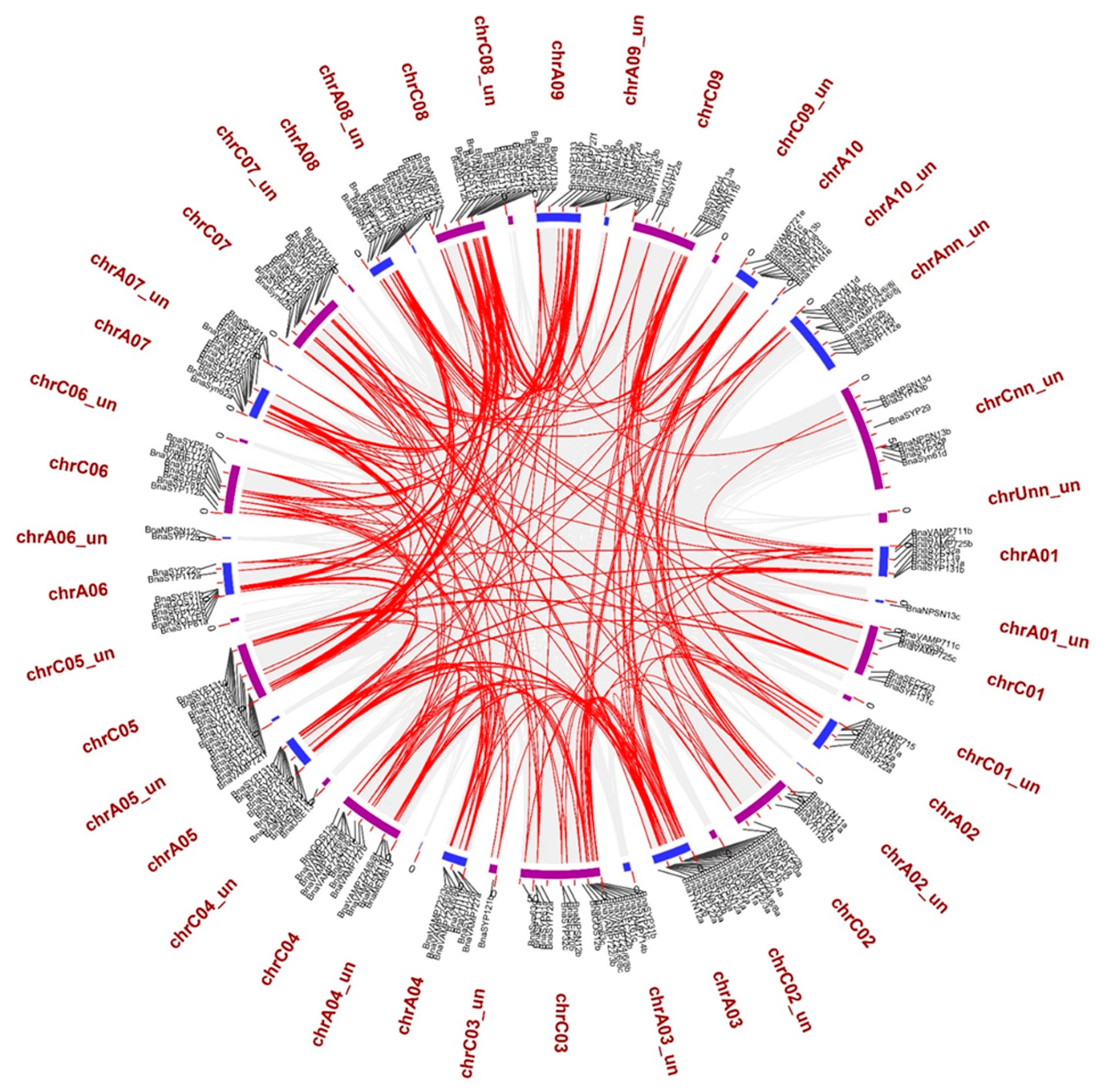 Plants 11 00711 g004 Plants 11 00711 g004