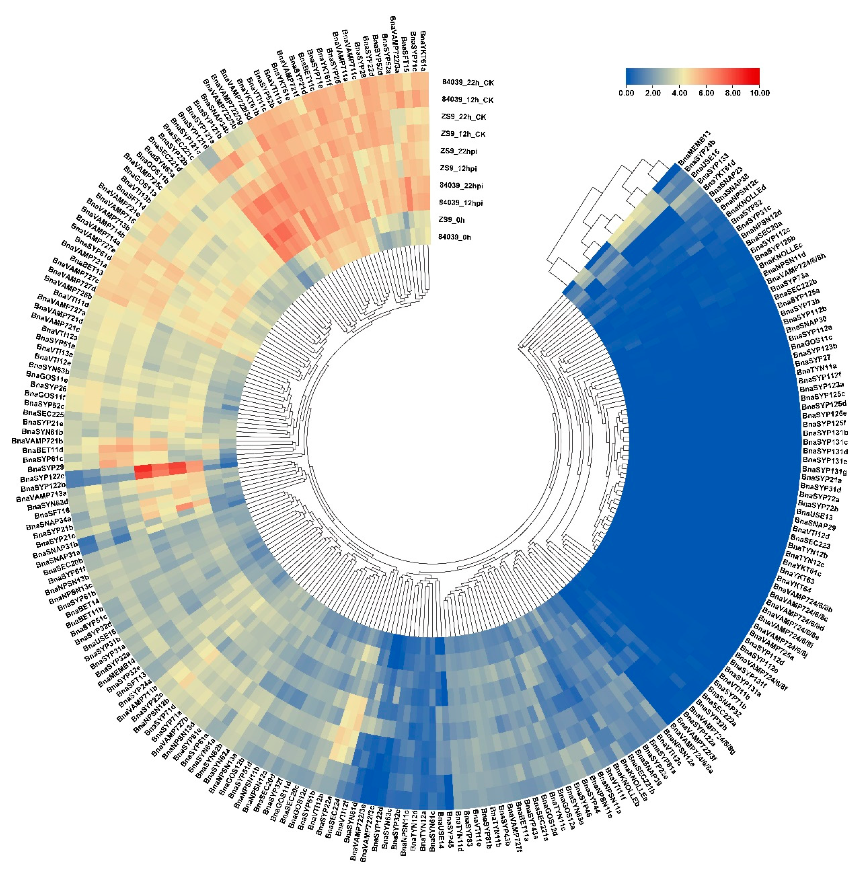 Plants 11 00711 g005 Plants 11 00711 g005