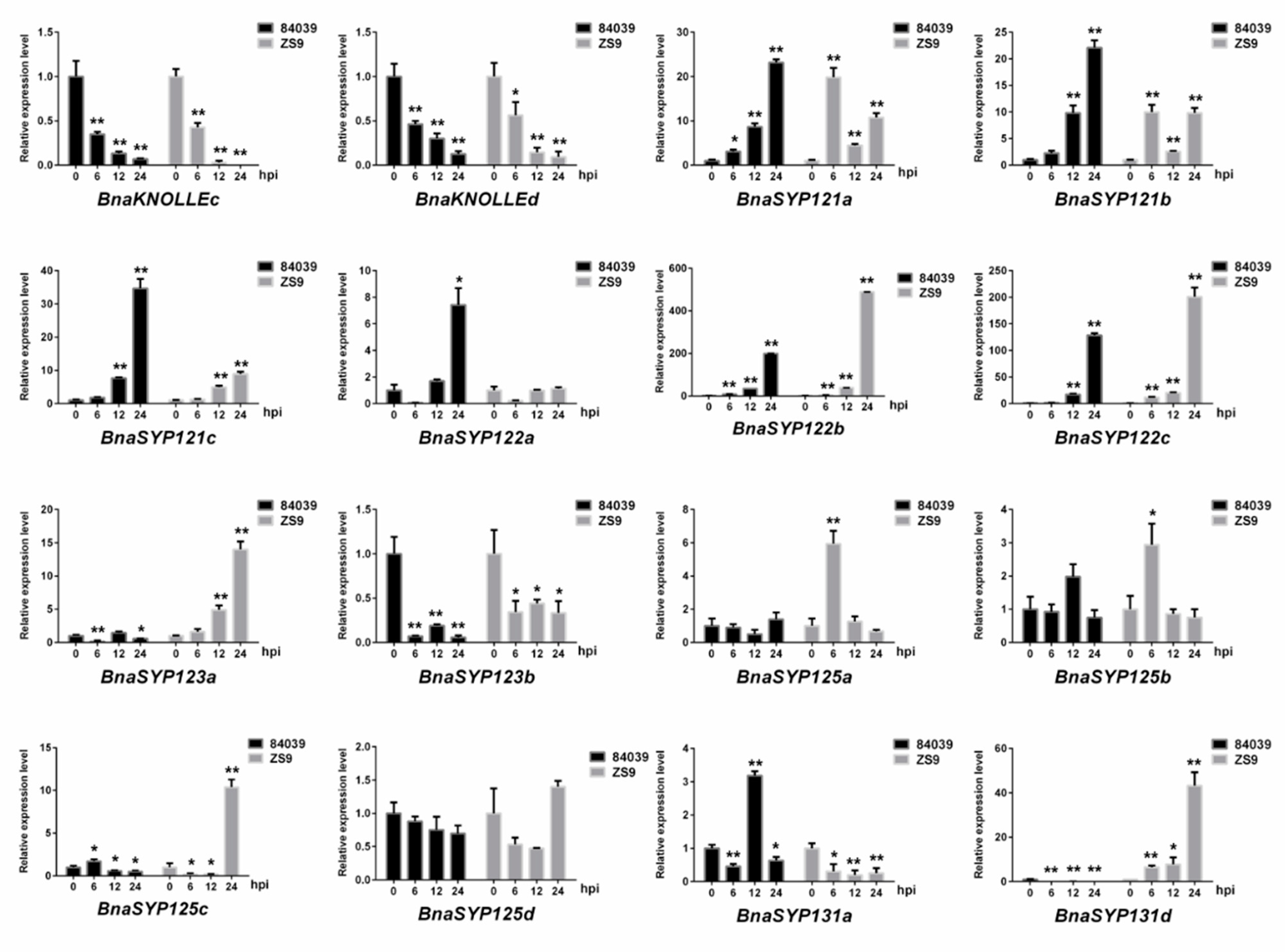 Plants 11 00711 g006 Plants 11 00711 g006