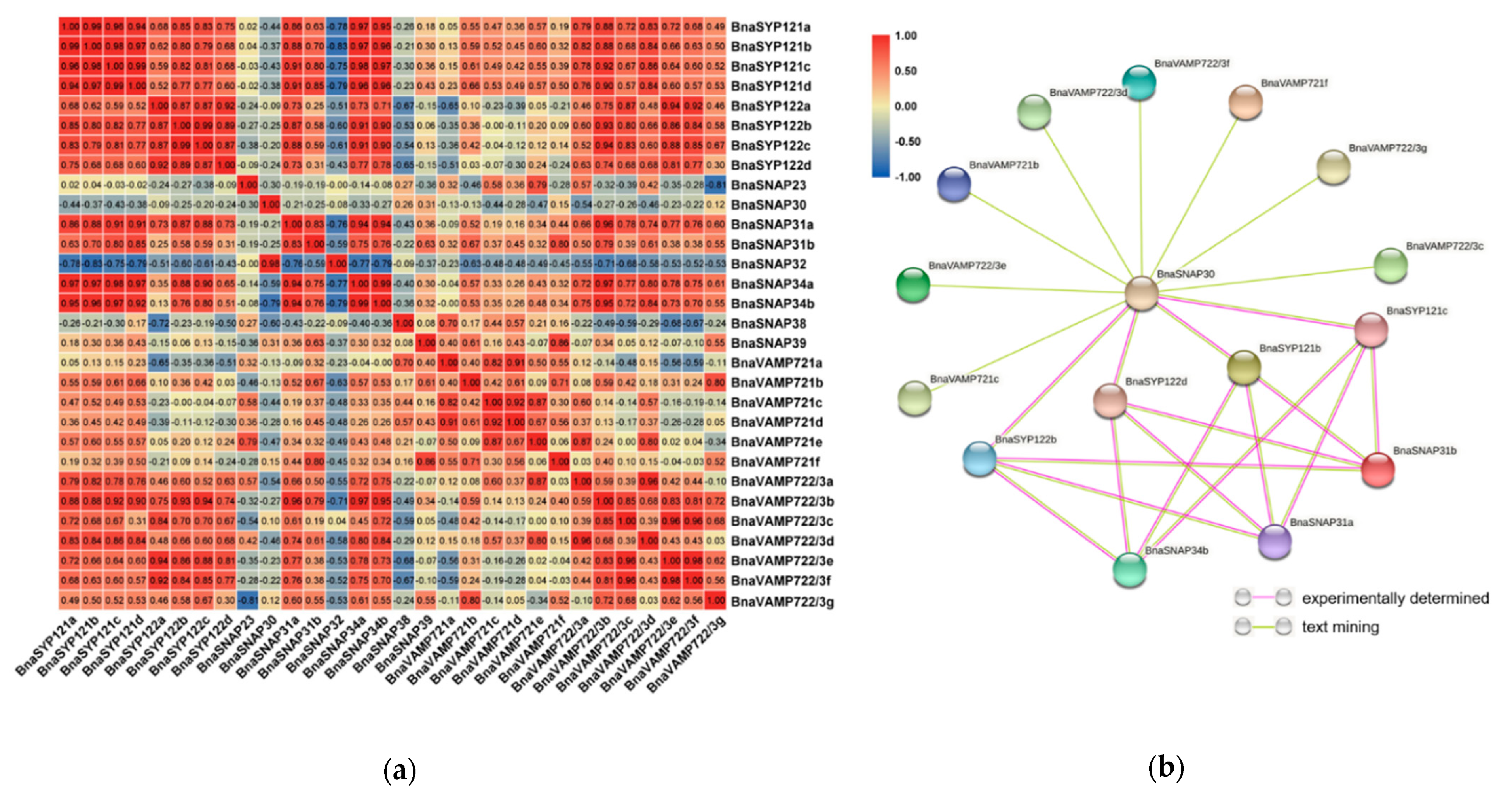 Plants 11 00711 g008 Plants 11 00711 g008