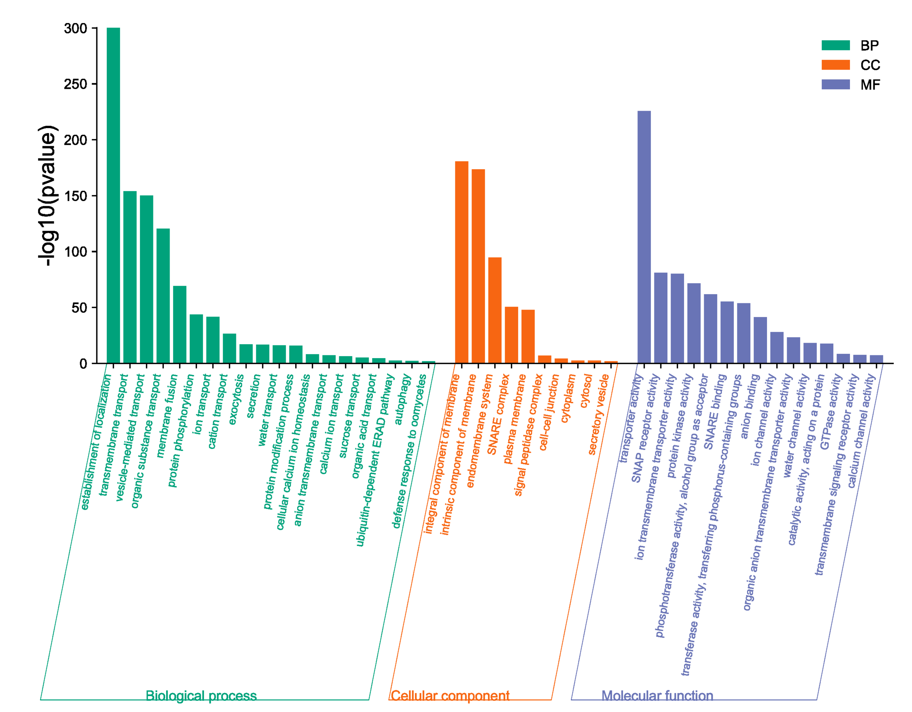 Plants 11 00711 g009 Plants 11 00711 g009