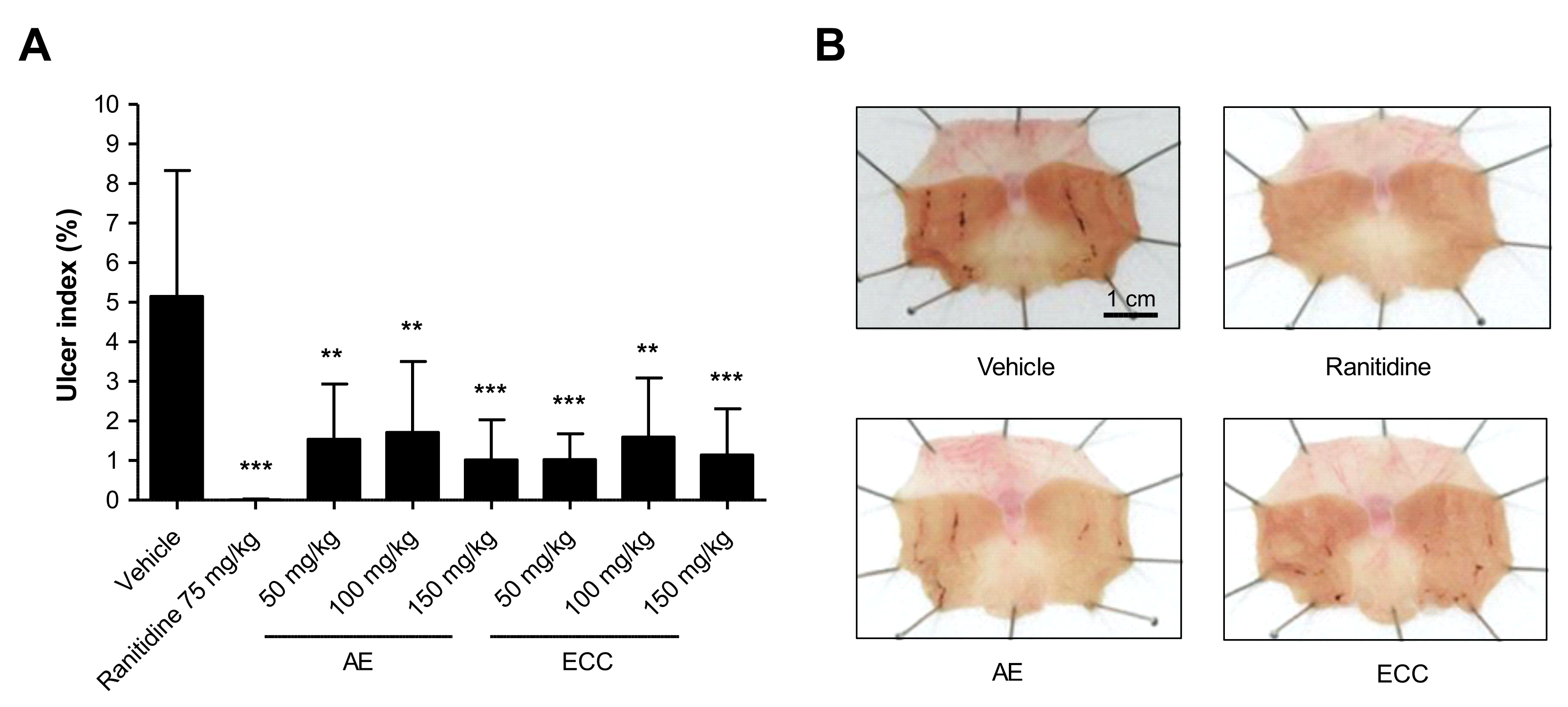 Plants 11 00716 g002 550