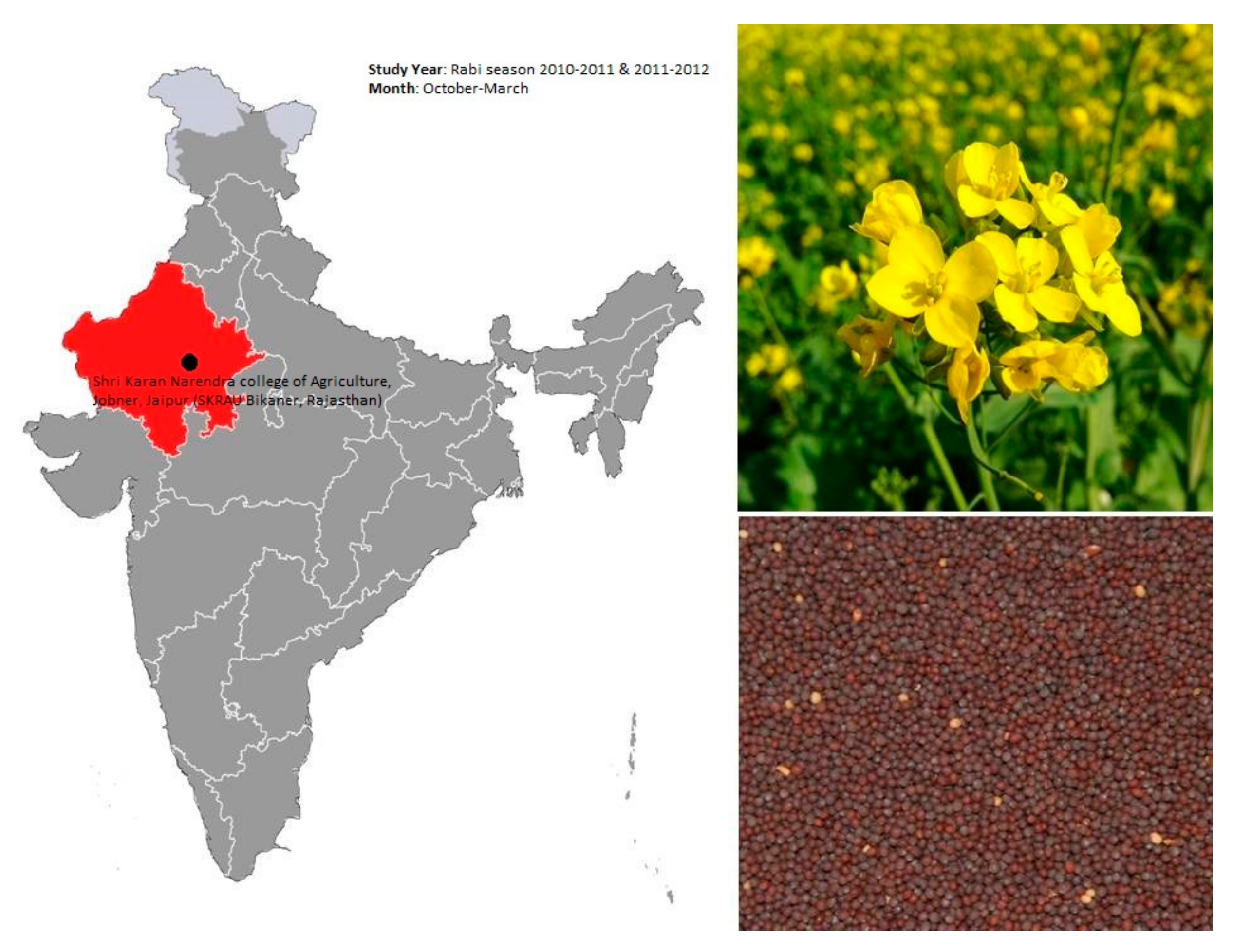 Plants 11 00722 g005