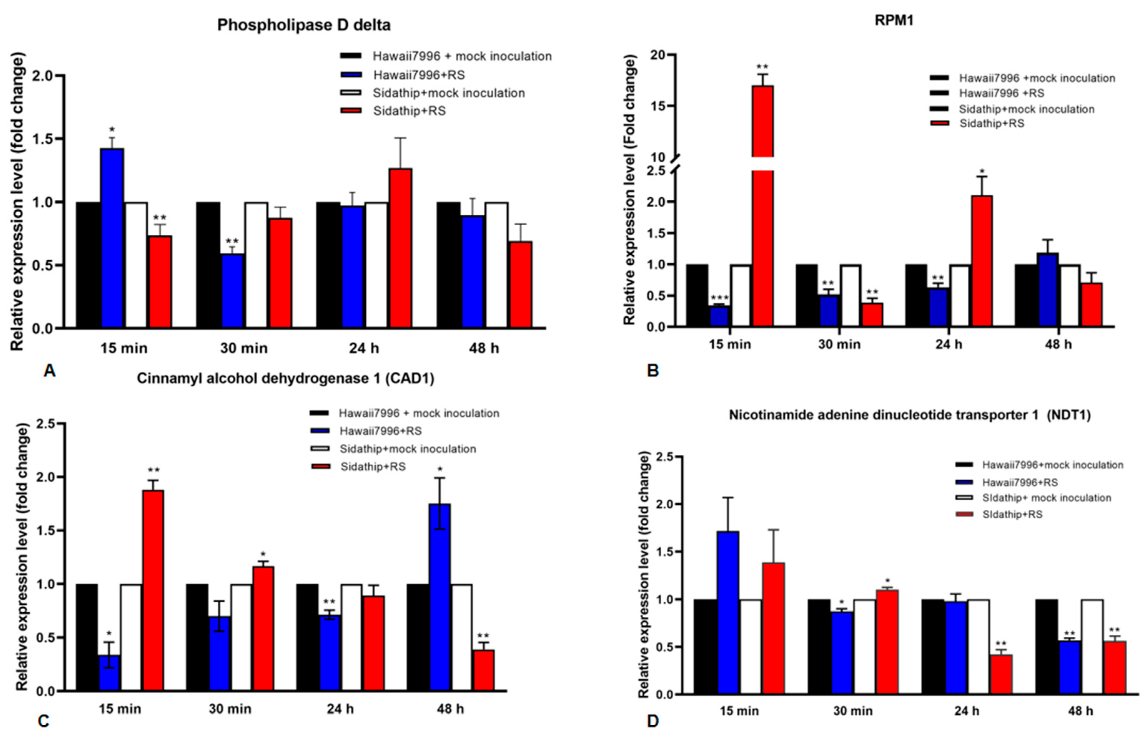 Plants 11 00726 g004 550
