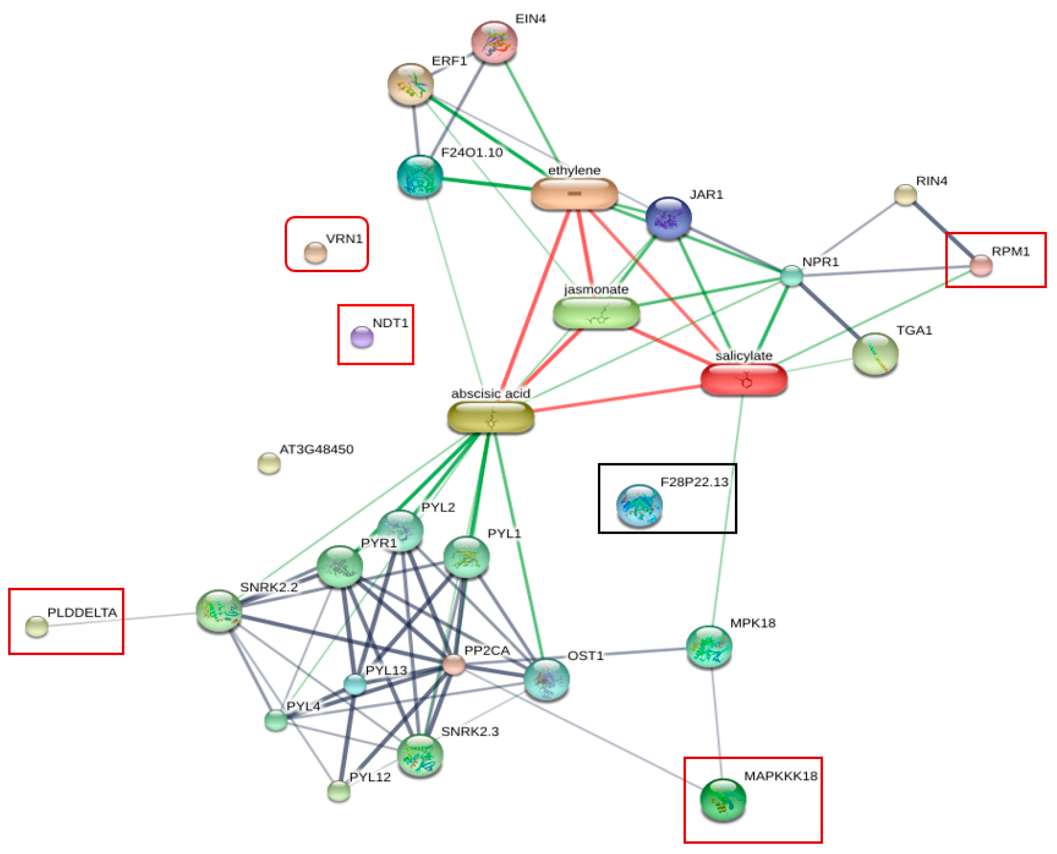 Plants 11 00726 g005 550