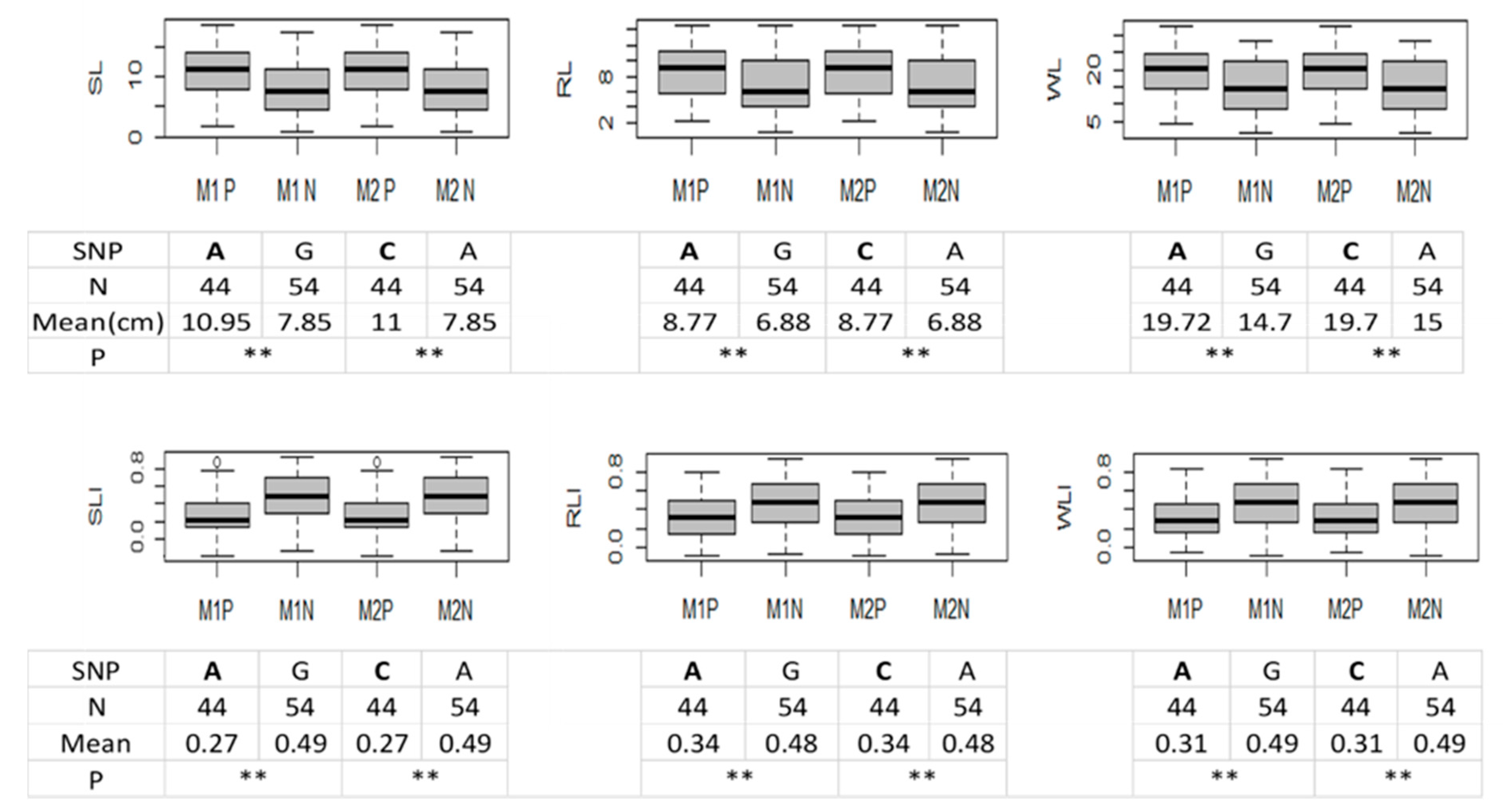 Plants 11 00729 g003 550