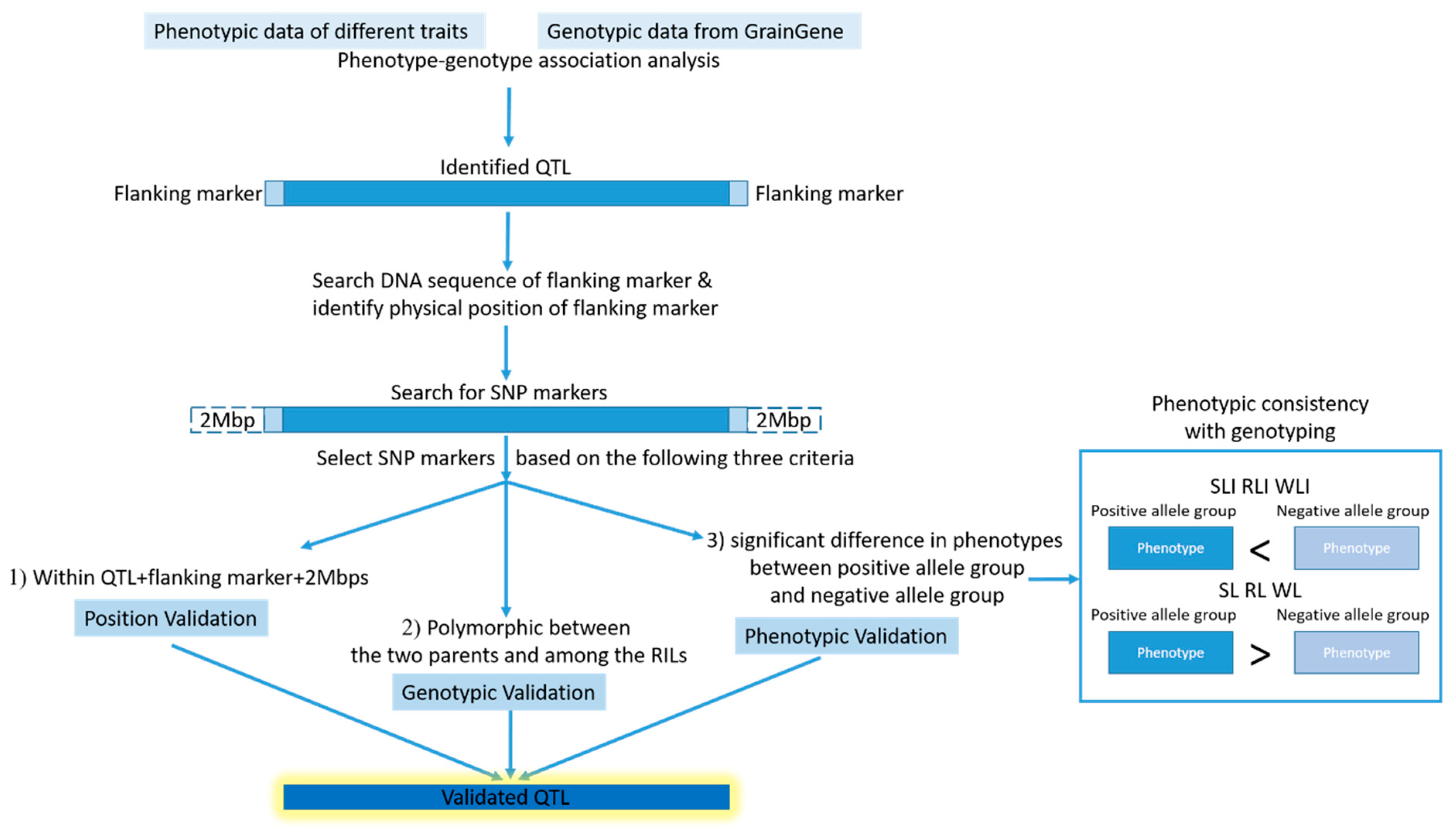 Plants 11 00729 g004 550
