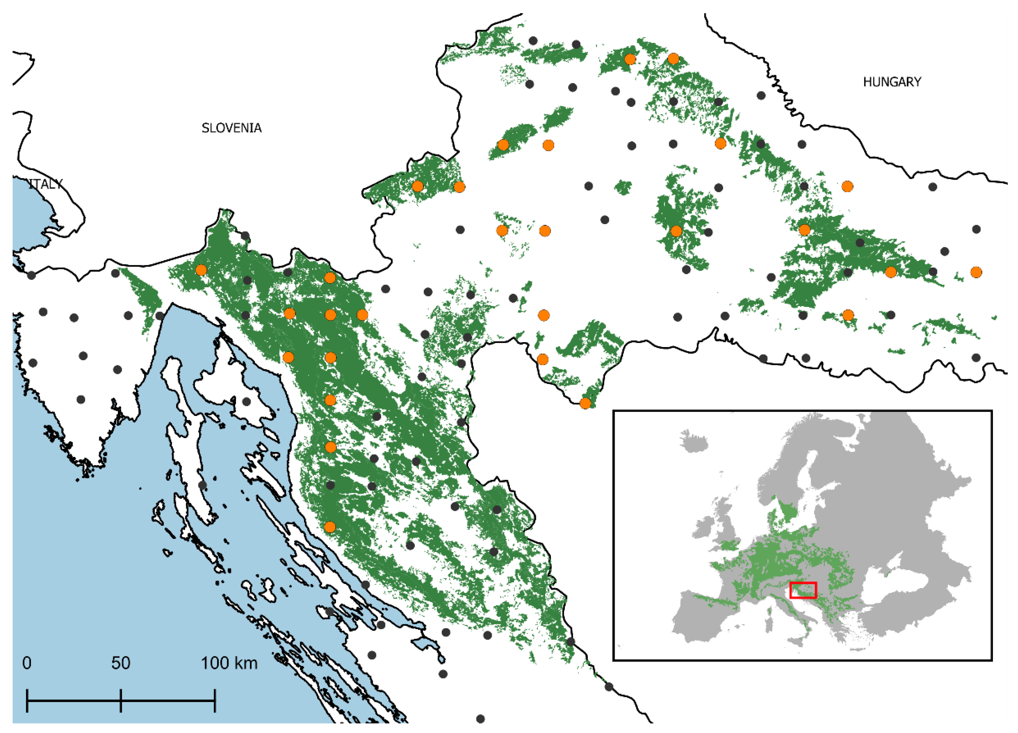 Plants 11 00730 g003